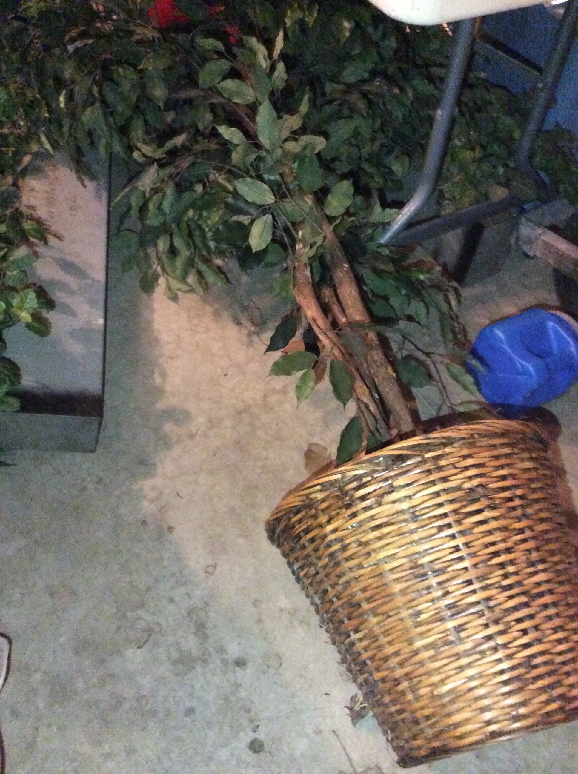 ONLINE ONLY PERSONAL PROPERTY!