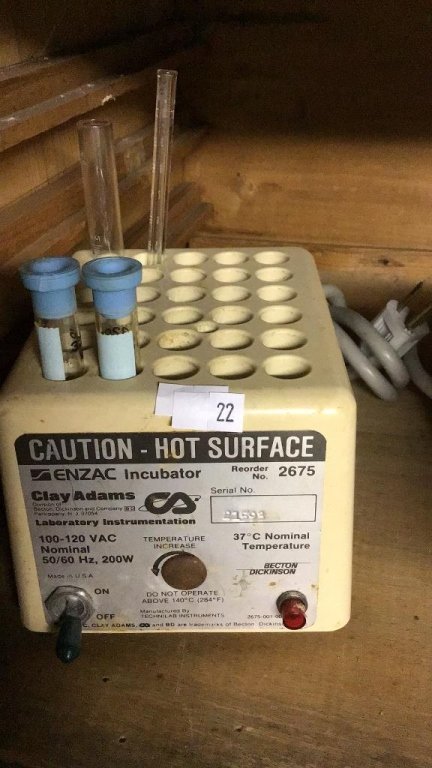 Online Bidding Available!