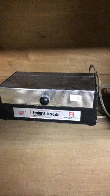 Online Bidding Available!