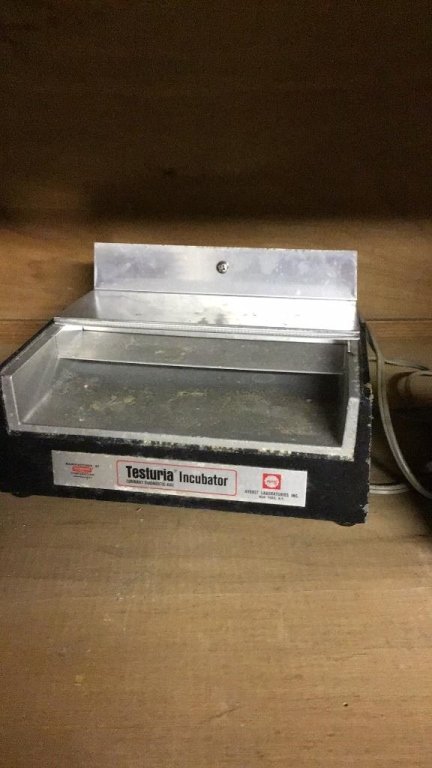 Online Bidding Available!