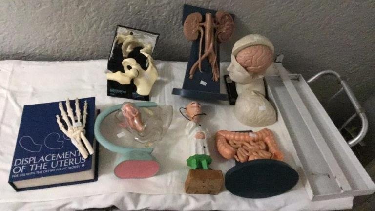 Online Bidding Available!