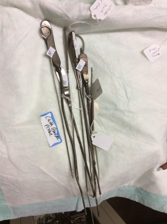 Online Bidding Available!