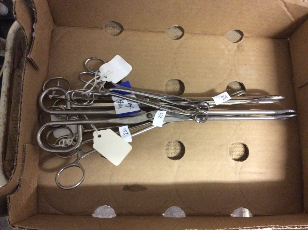 Online Bidding Available!