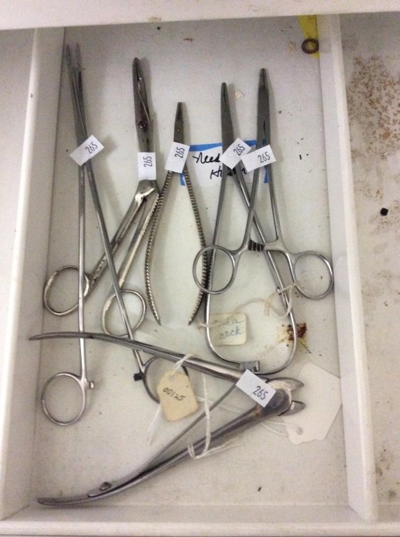 Online Bidding Available!