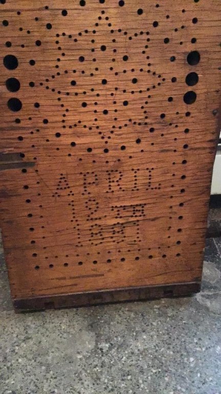 Online Bidding Available!