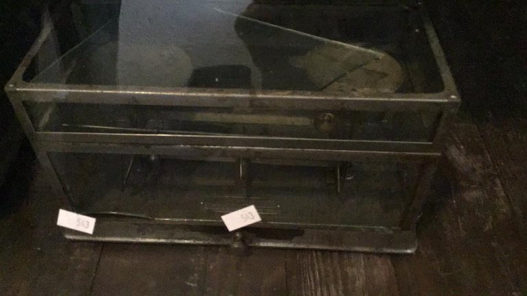 Online Bidding Available!