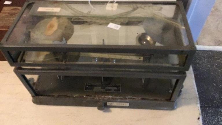 Online Bidding Available!