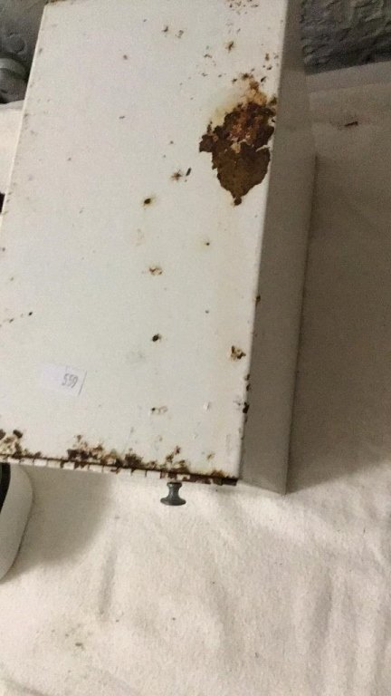 Online Bidding Available!