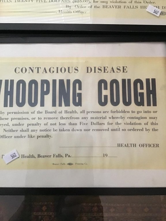 Online Bidding Available!