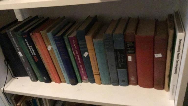 Online Bidding Available!