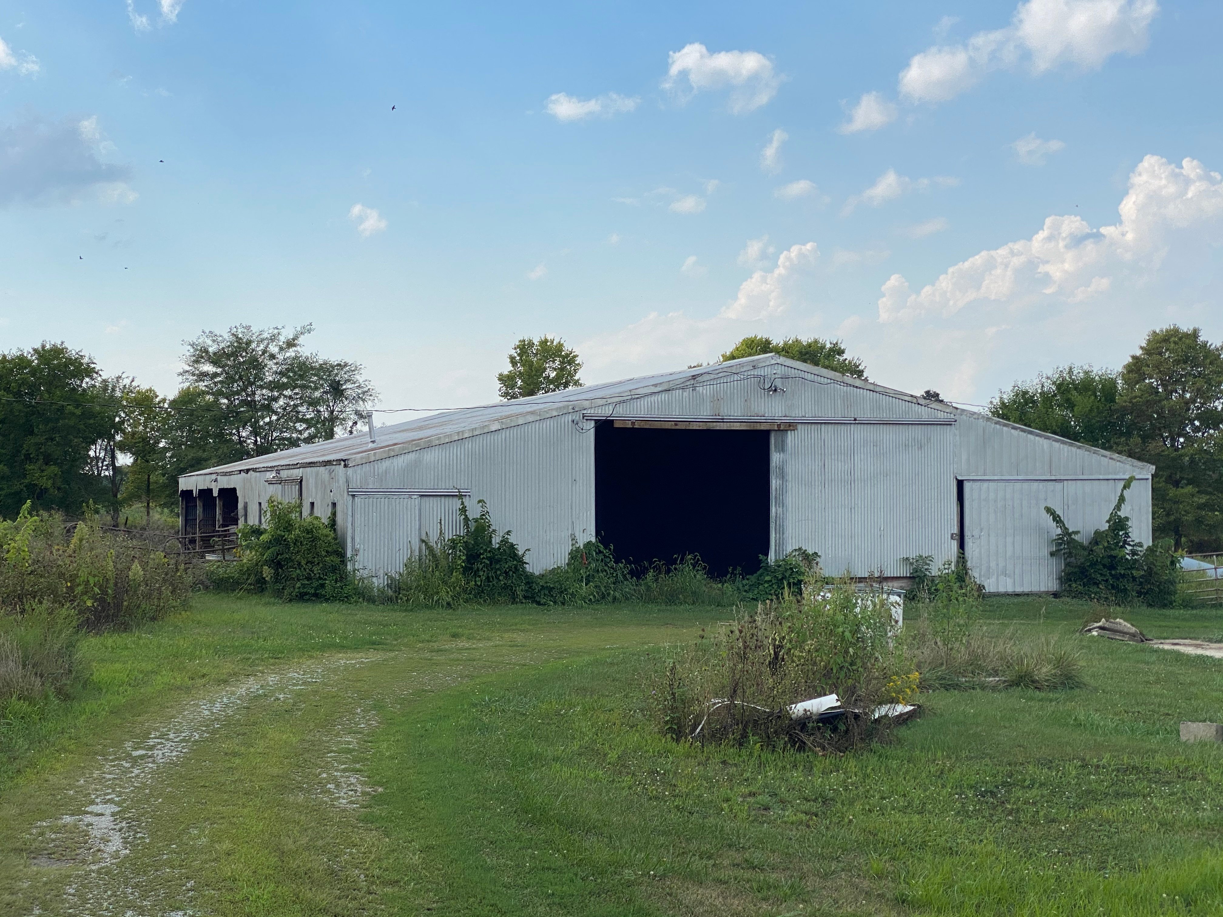 Real Estate Pictures