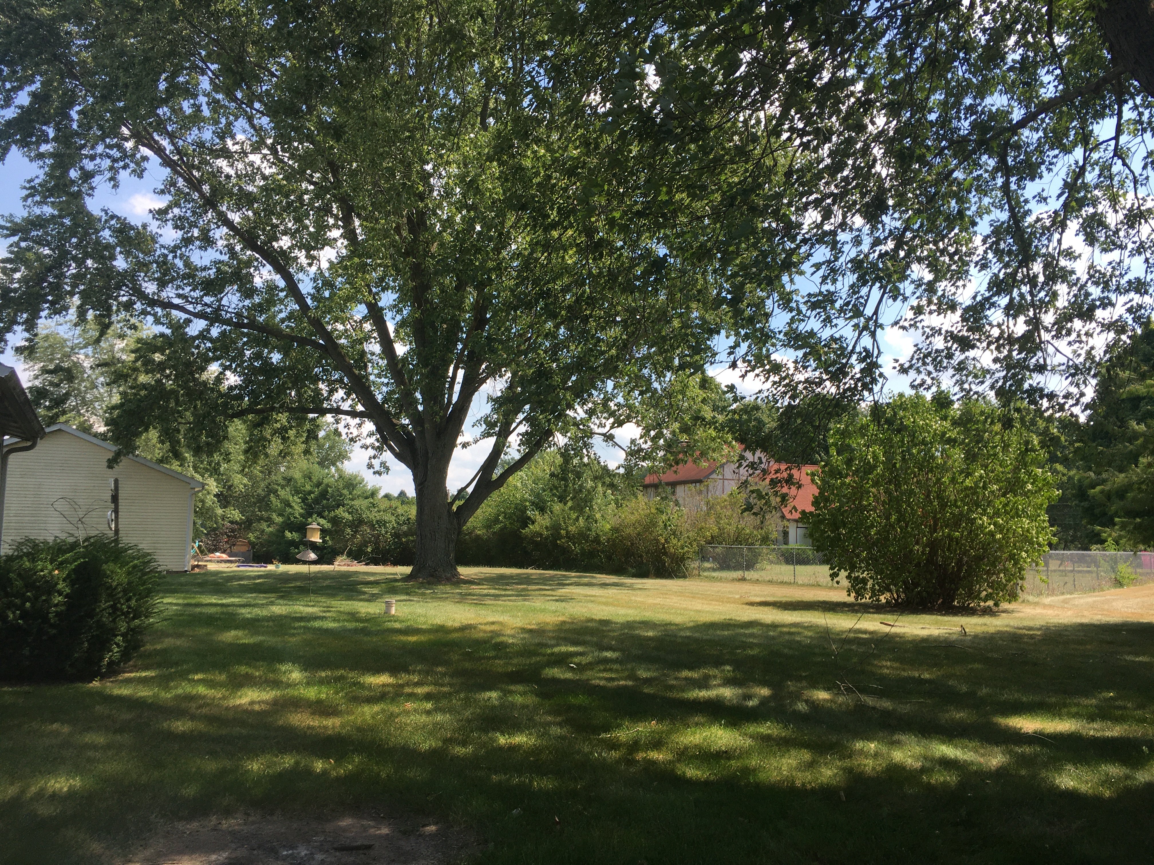 Real Estate Pictures