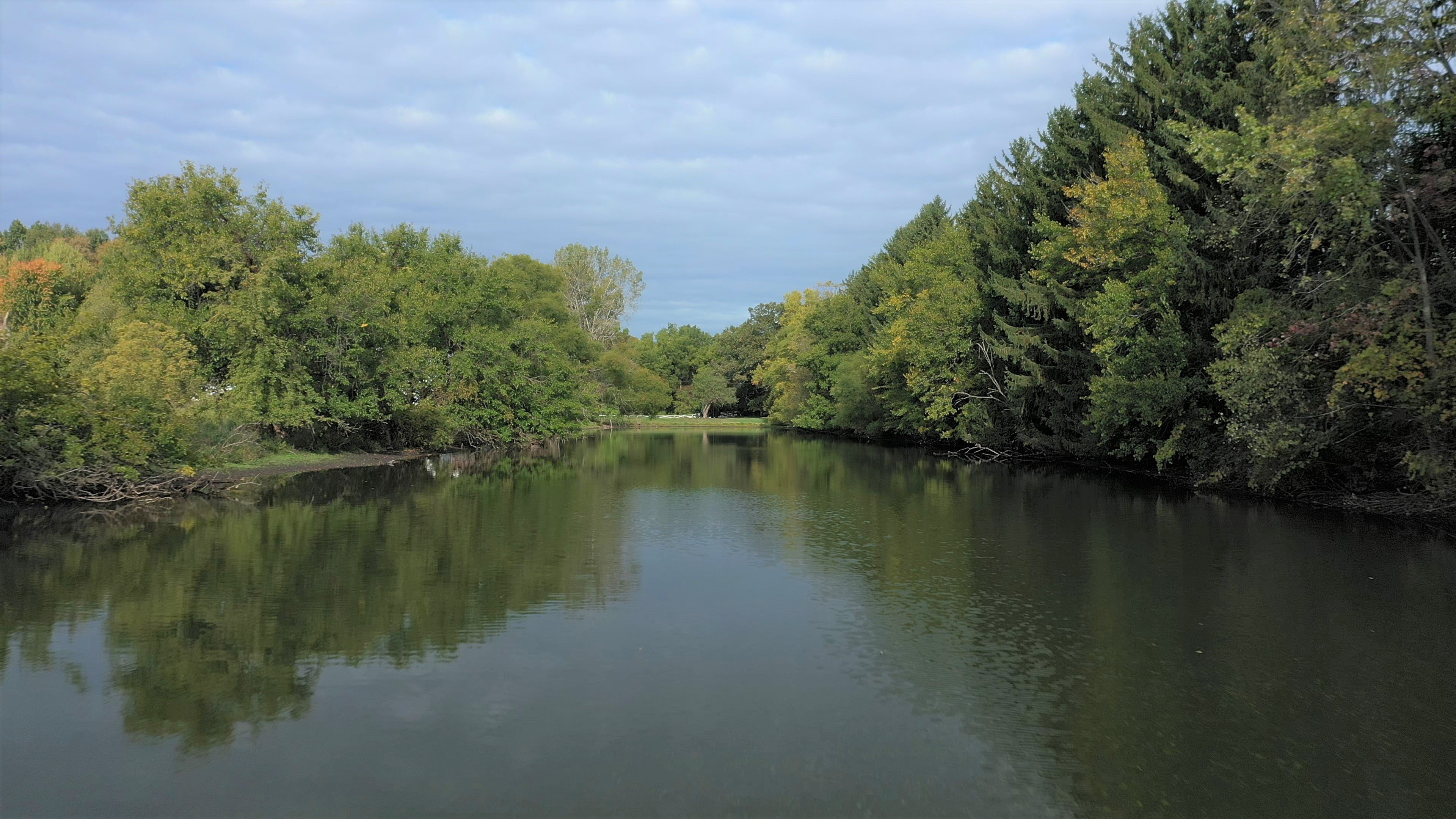 Real Estate Pictures