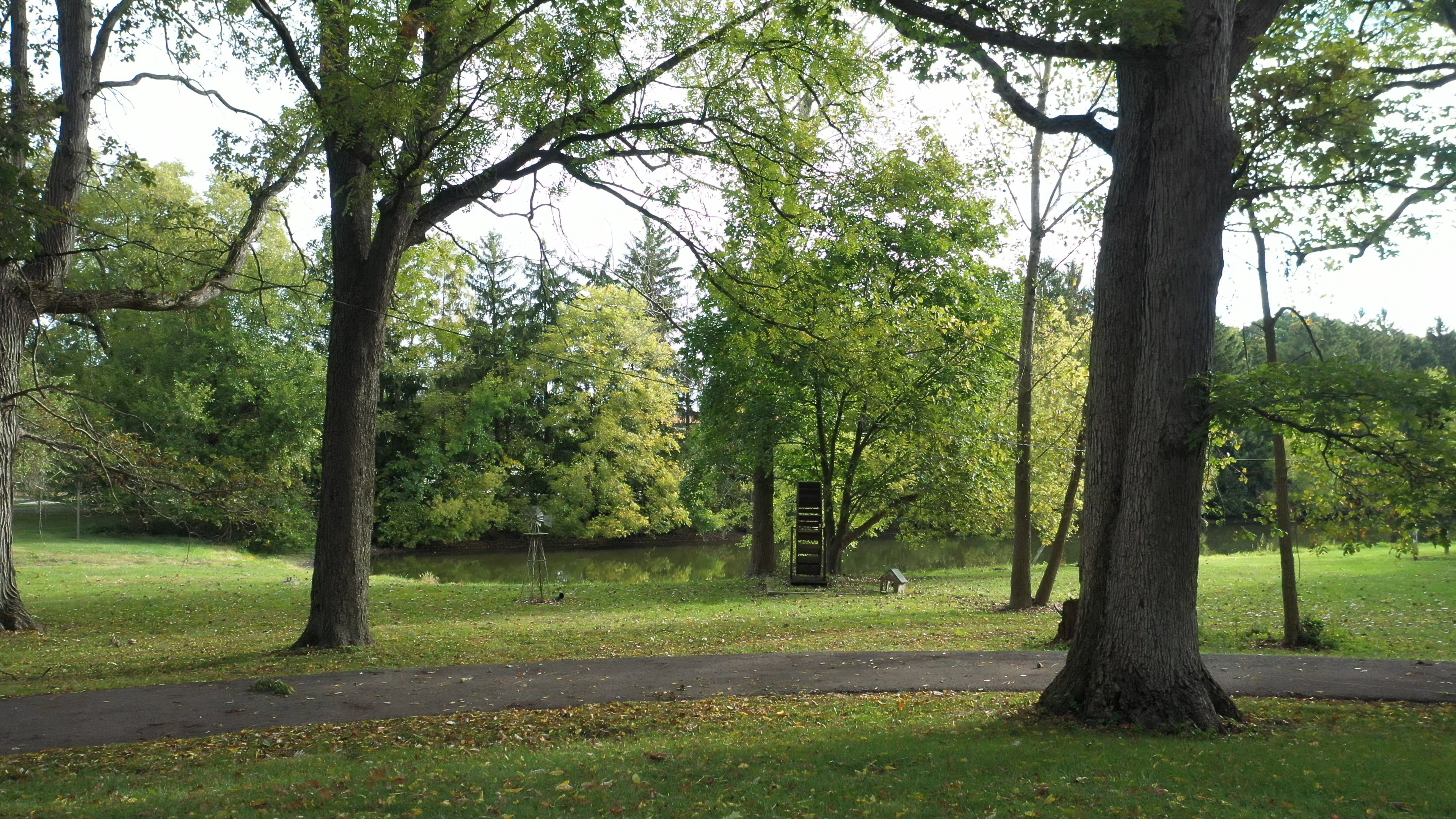 Real Estate Pictures