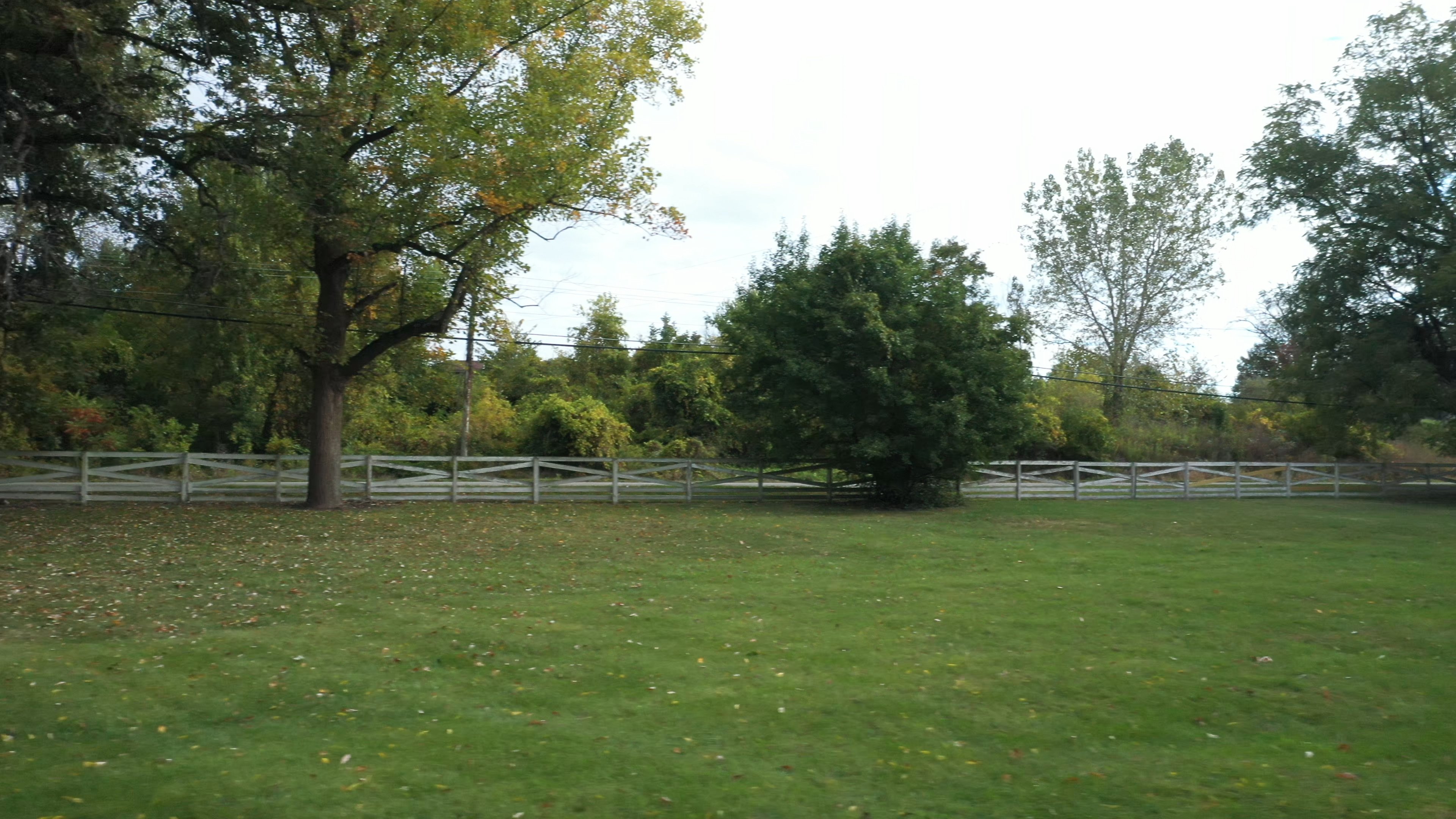 Real Estate Pictures