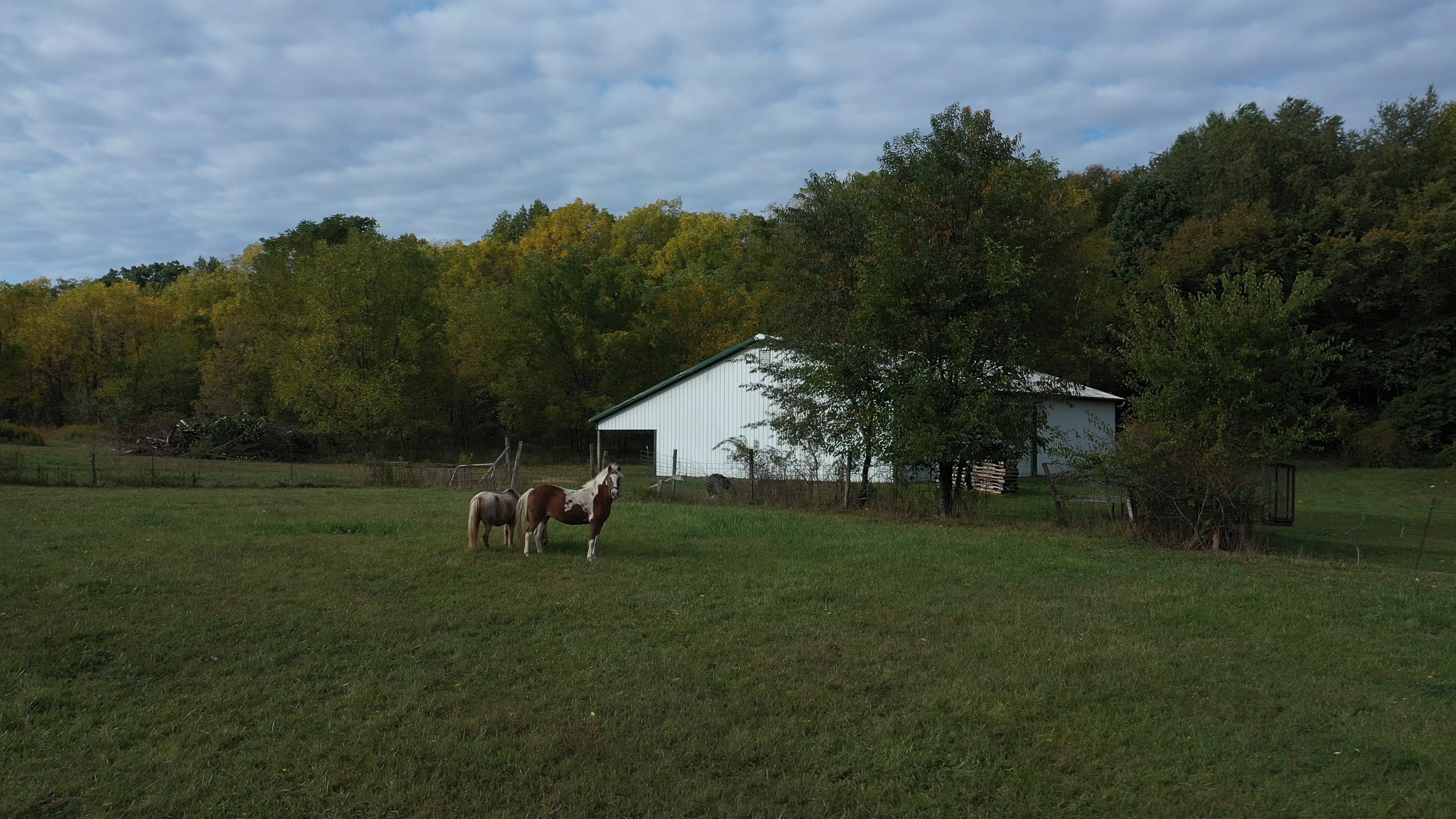 Real Estate Pictures