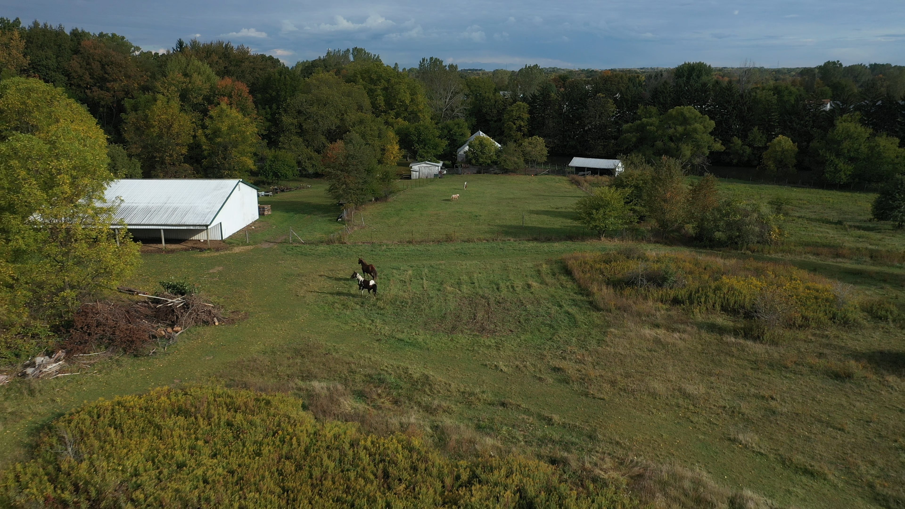 Real Estate Pictures