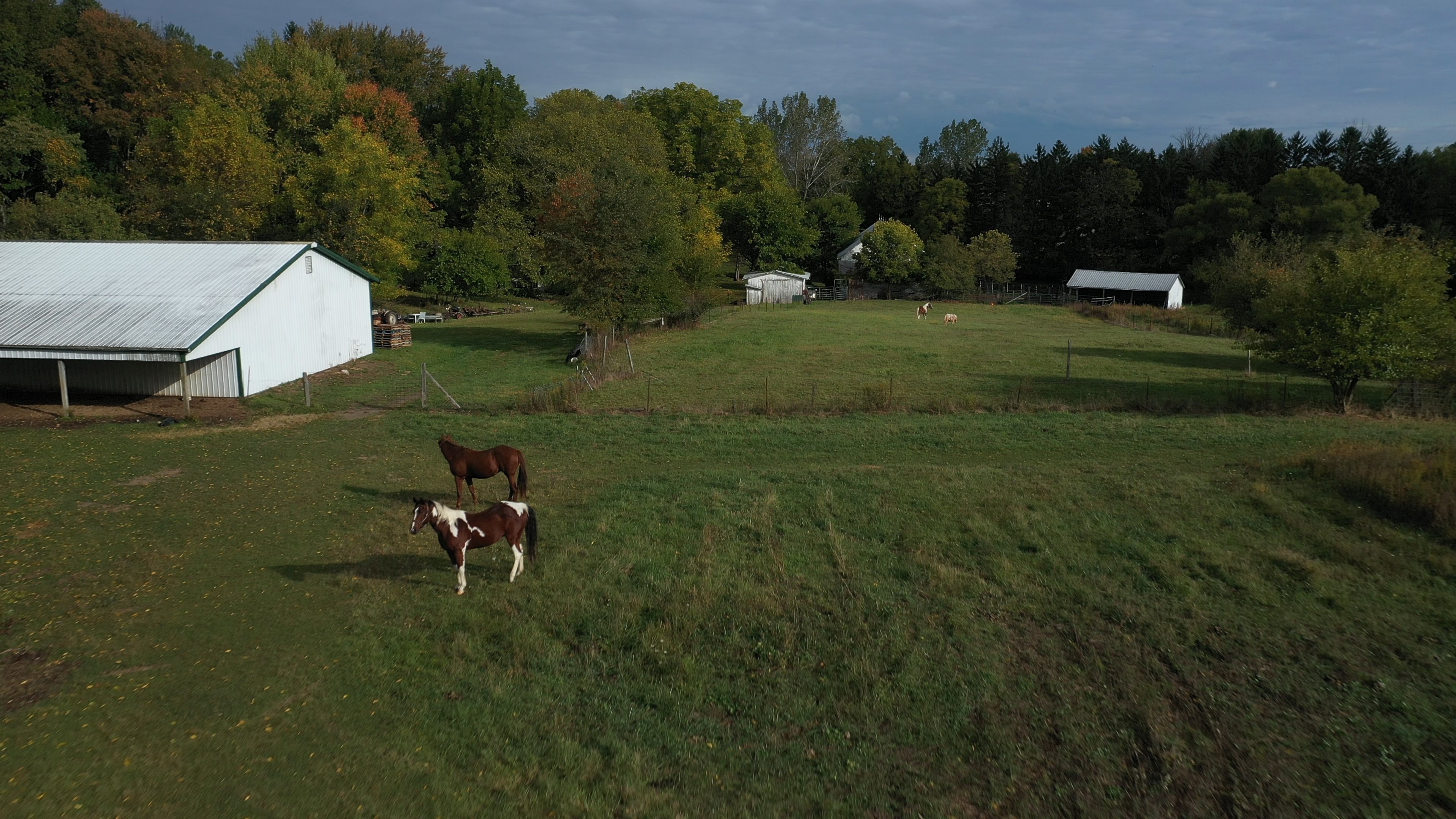 Real Estate Pictures