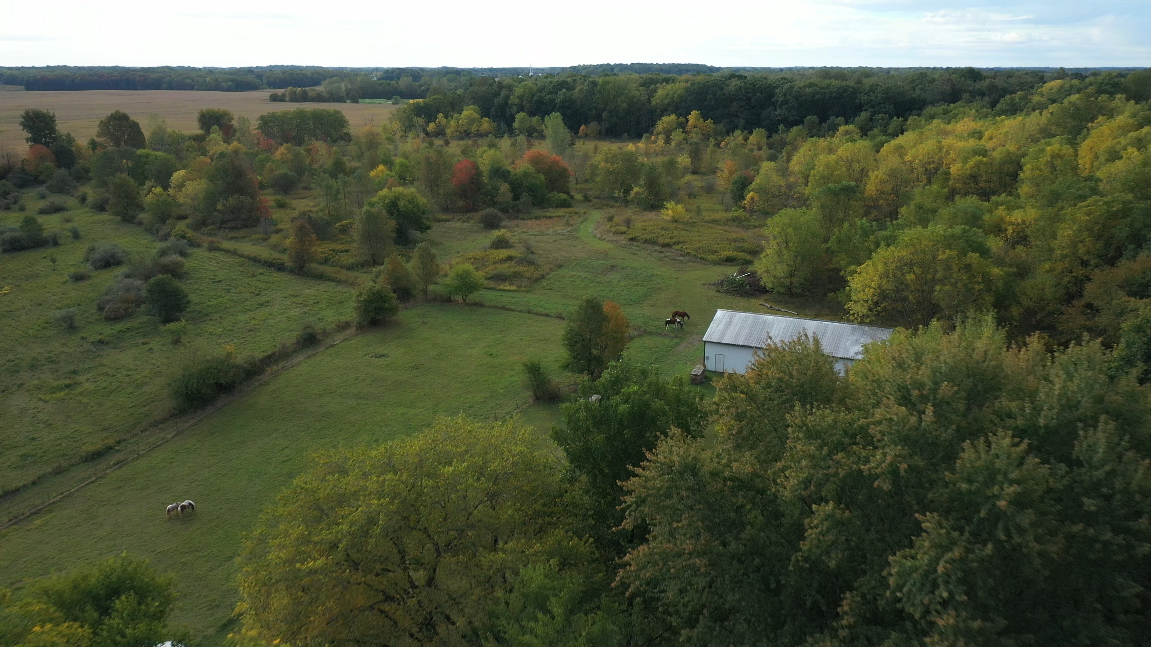 Real Estate Pictures