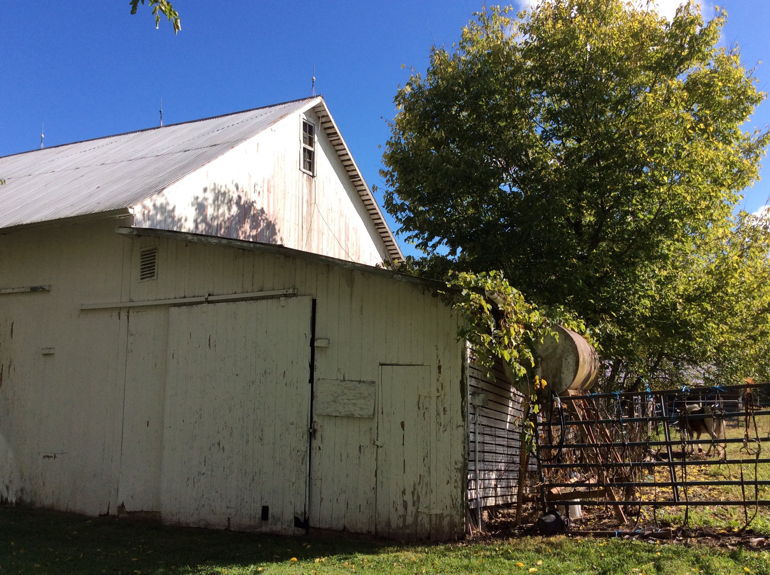 Real Estate Pictures