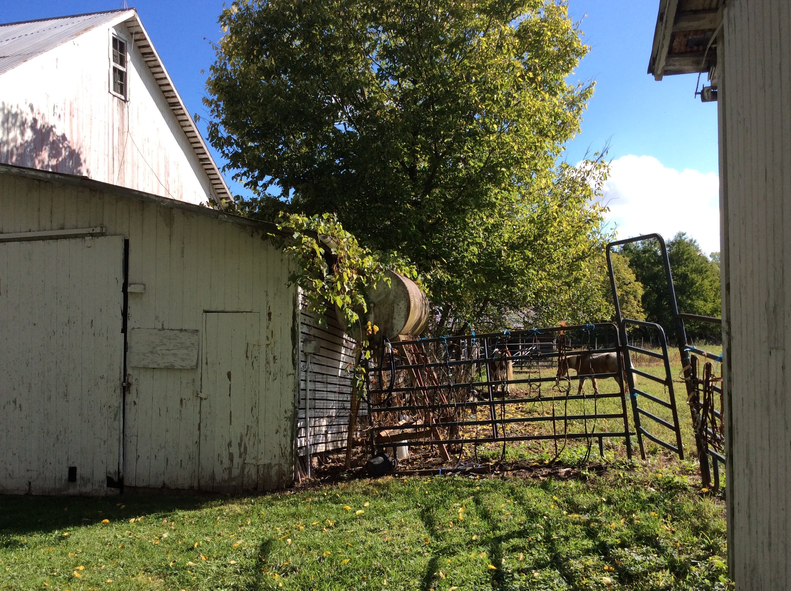 Real Estate Pictures