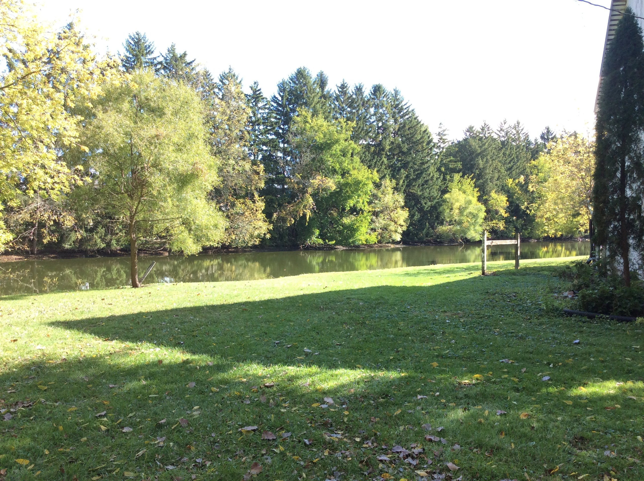 Real Estate Pictures