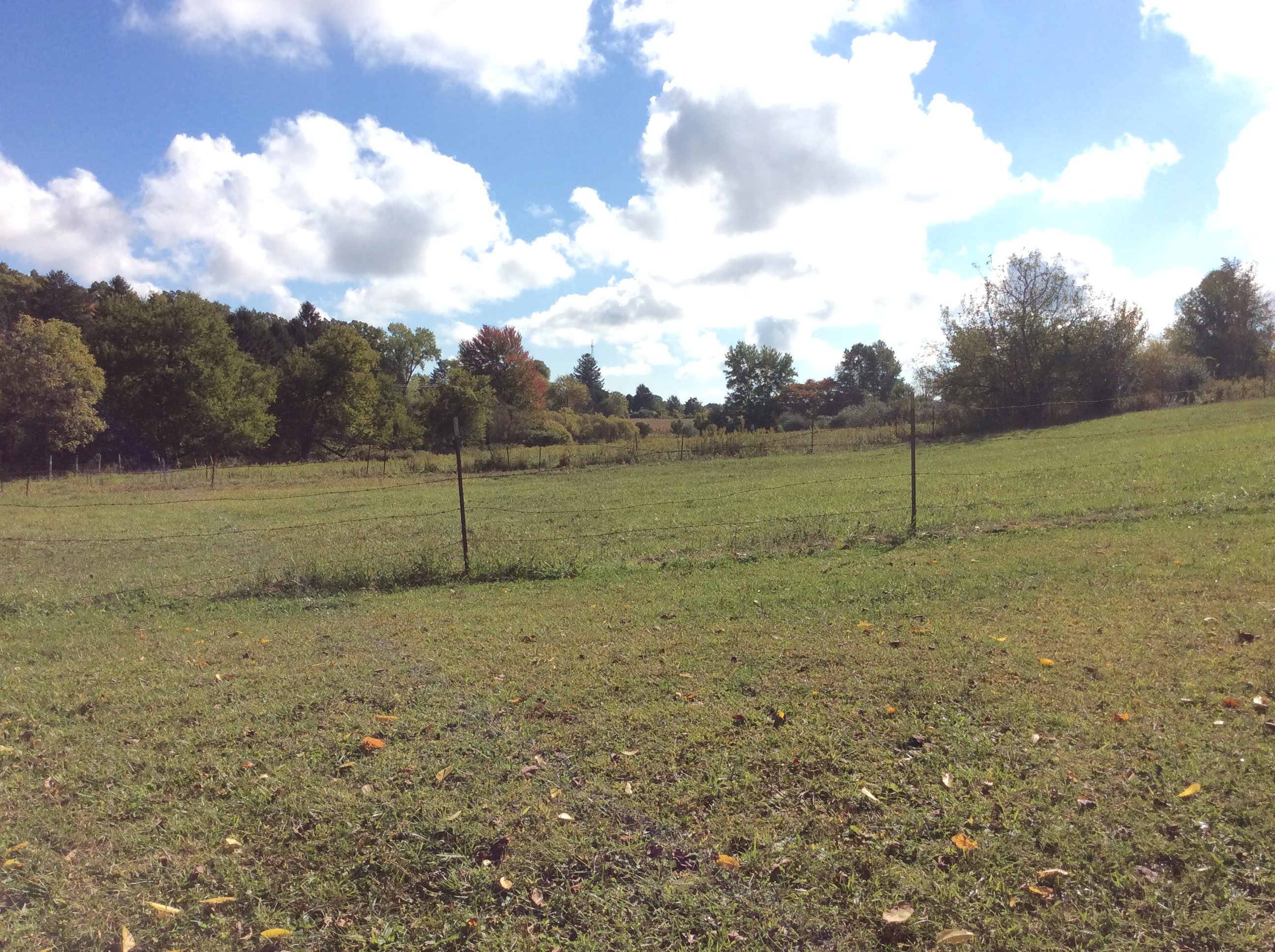 Real Estate Pictures