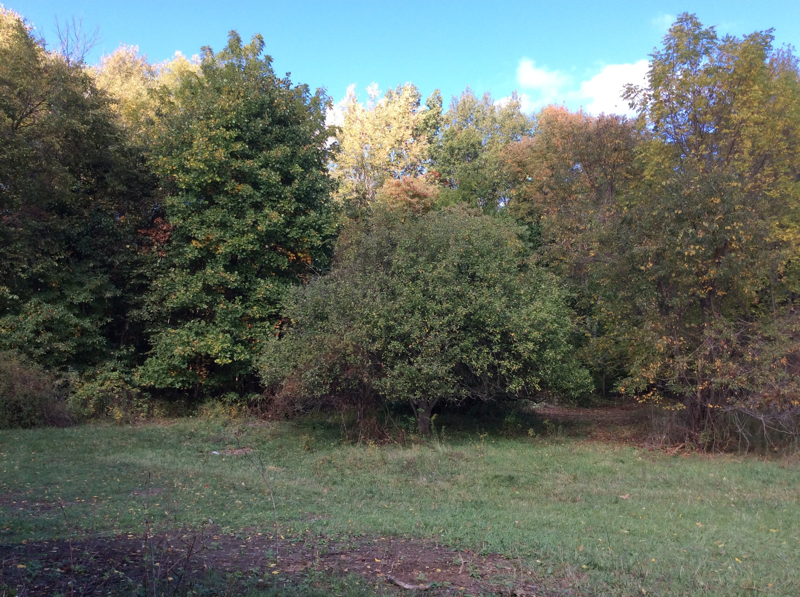 Real Estate Pictures