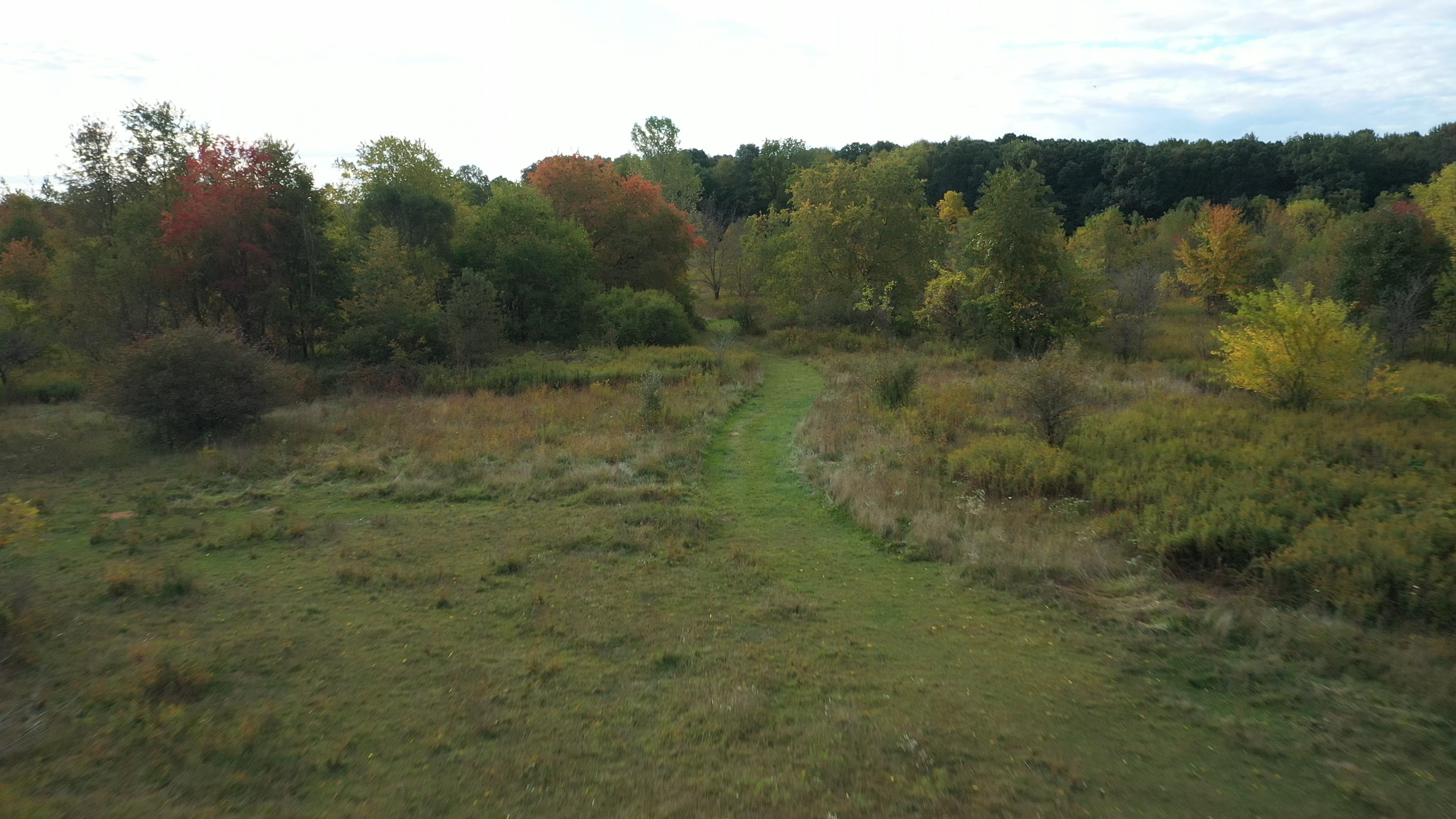 Real Estate Pictures