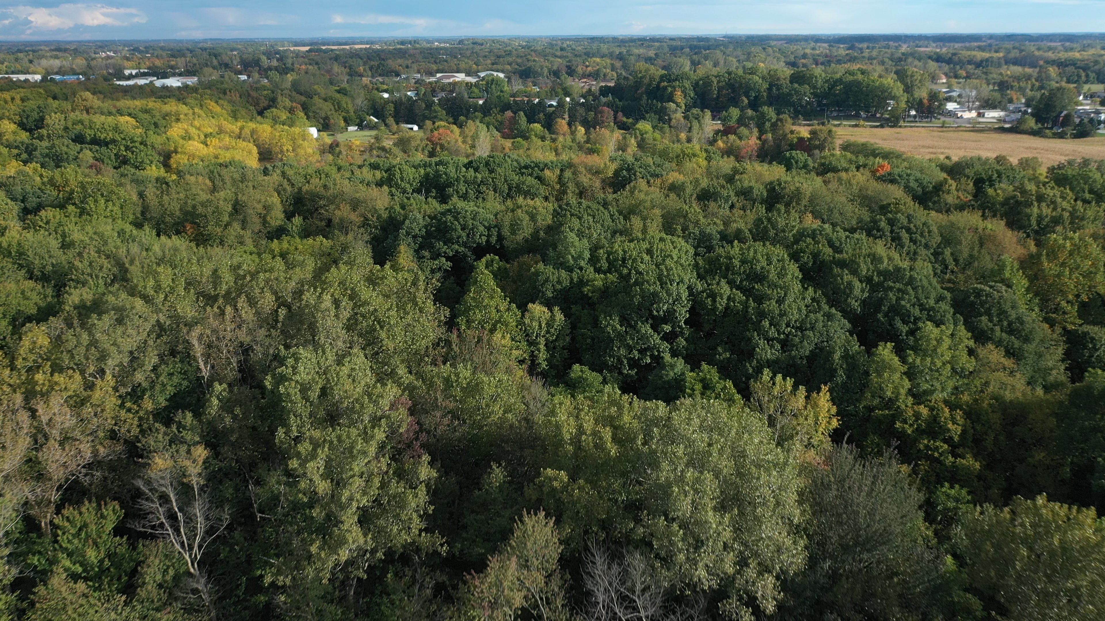 Real Estate Pictures