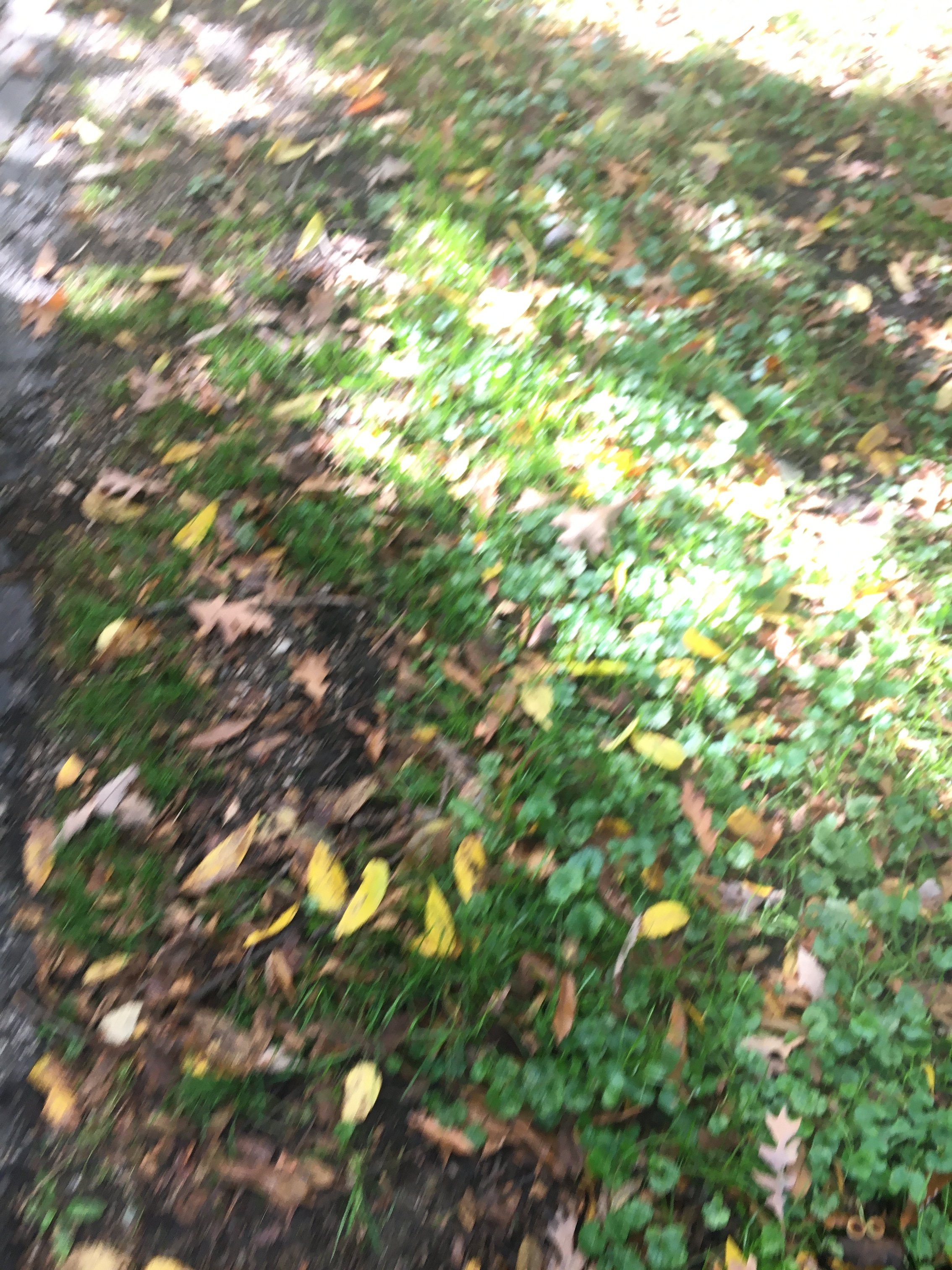 Real Estate Pictures