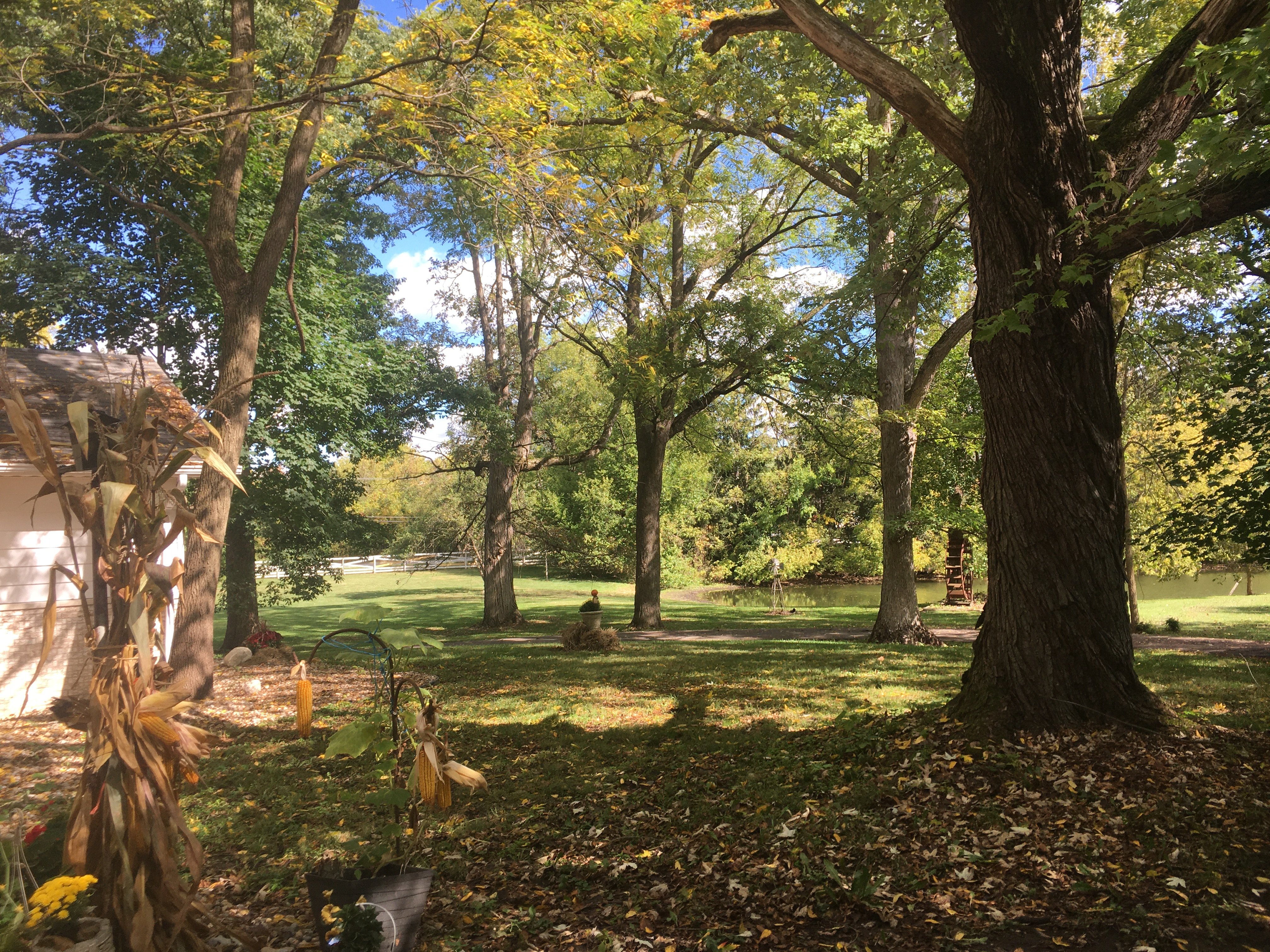 Real Estate Pictures