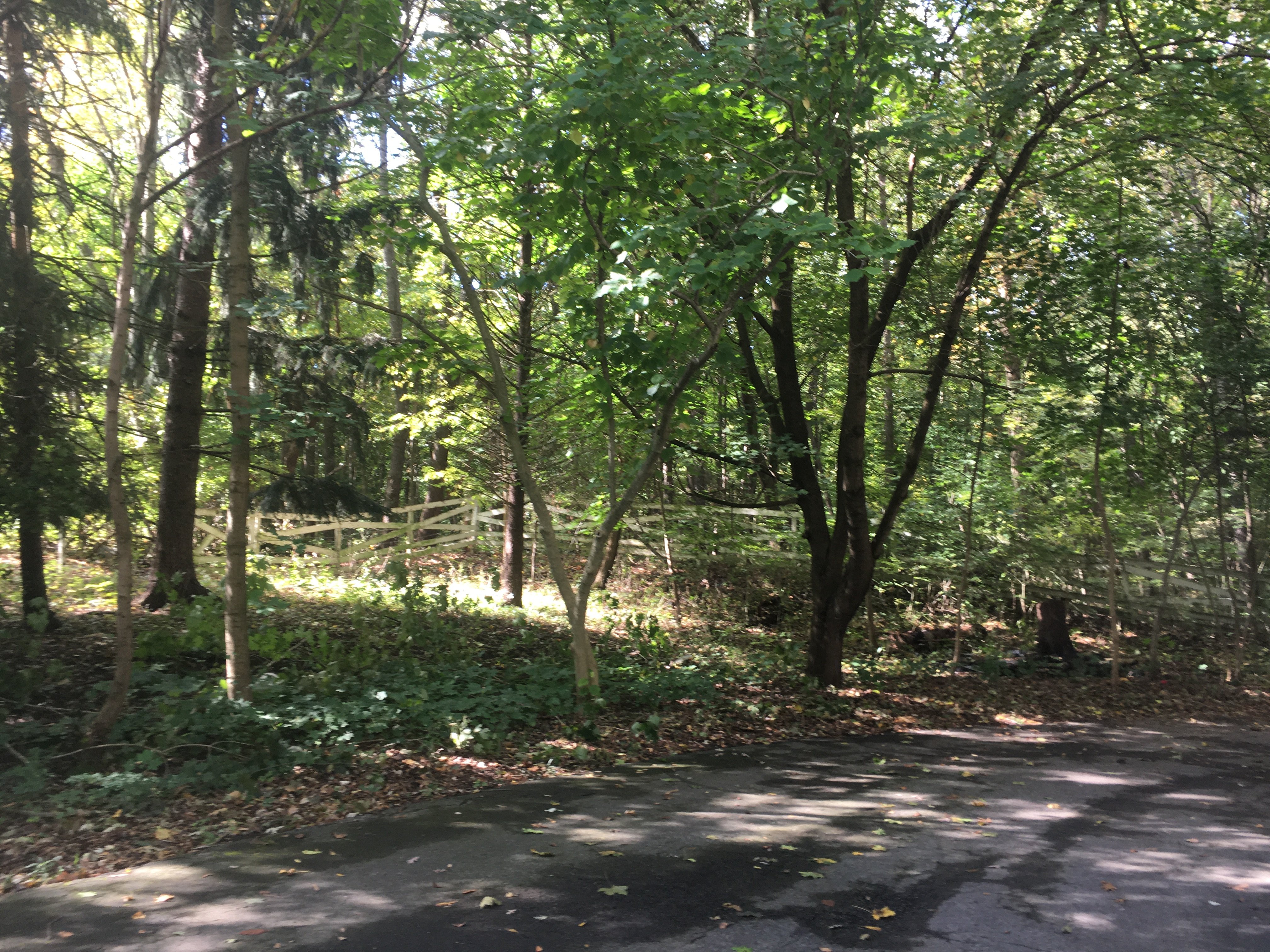 Real Estate Pictures