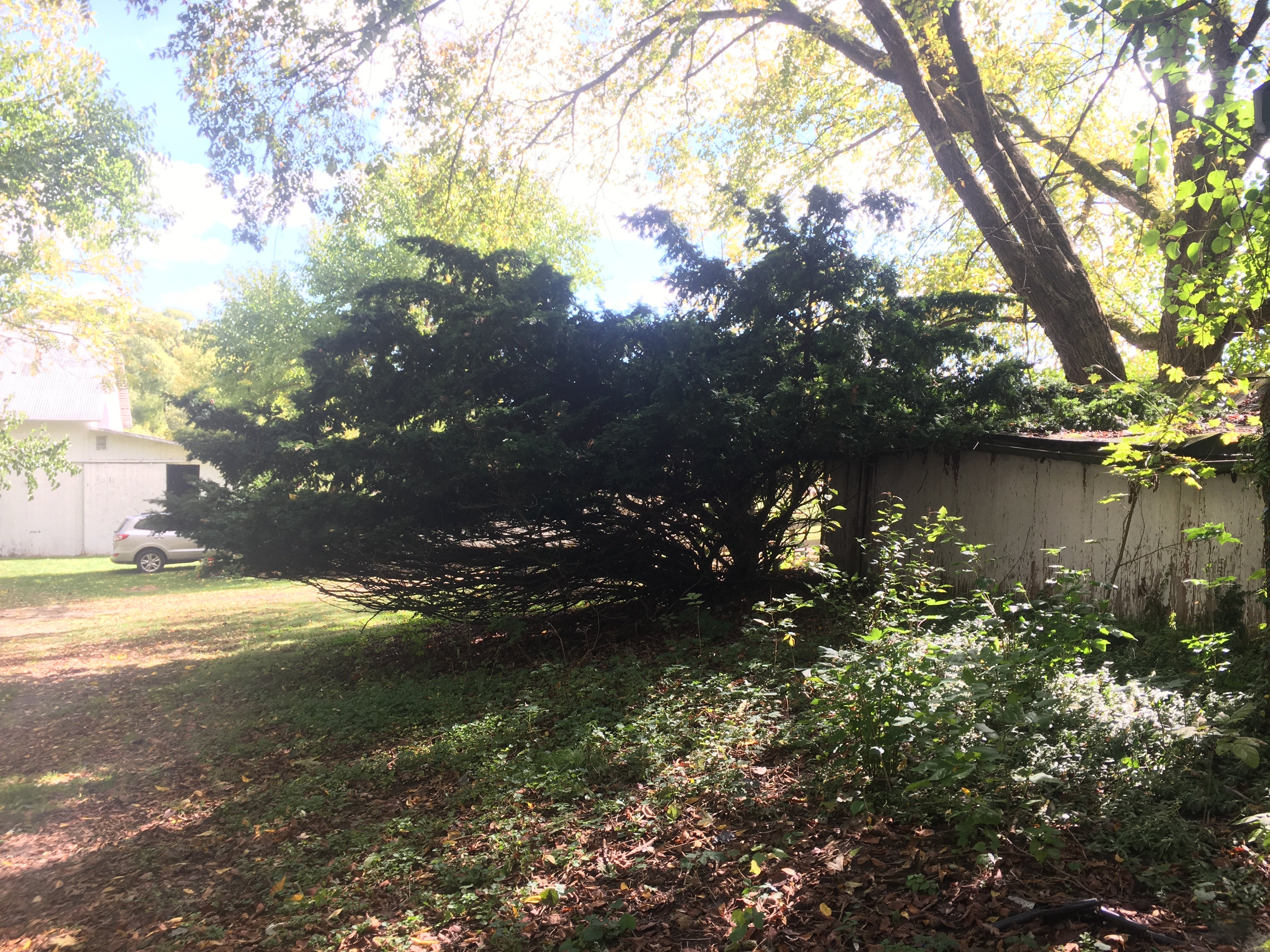 Real Estate Pictures