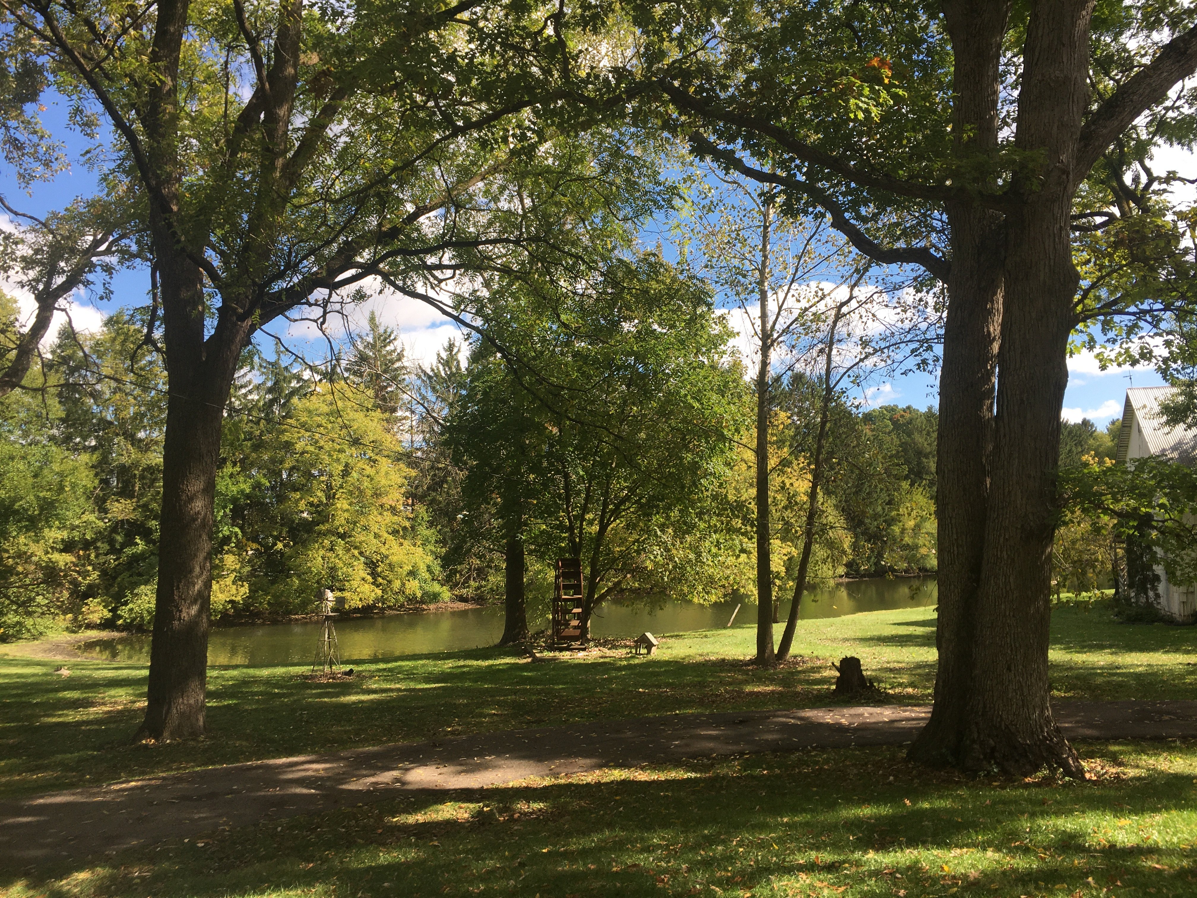 Real Estate Pictures