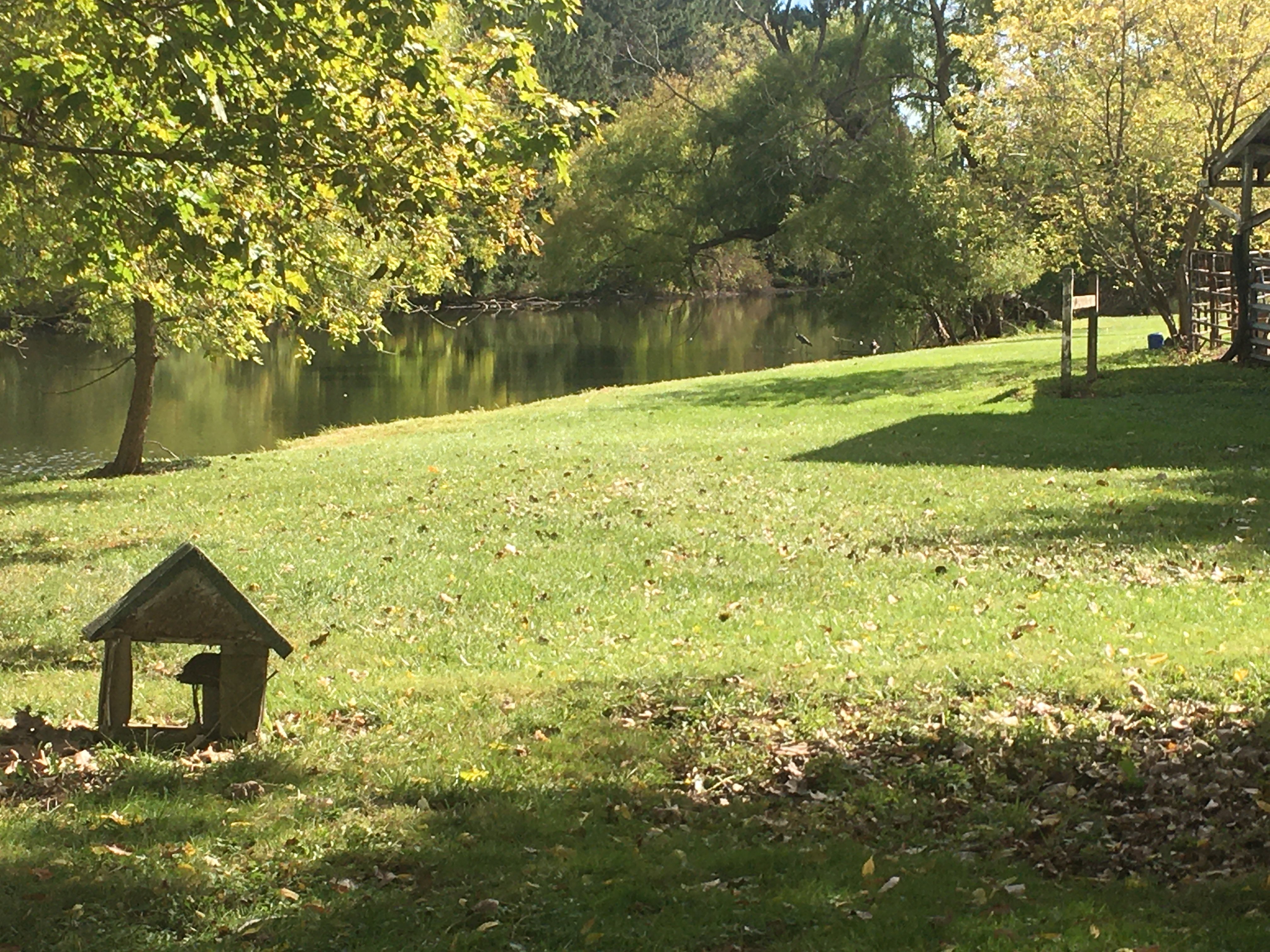 Real Estate Pictures