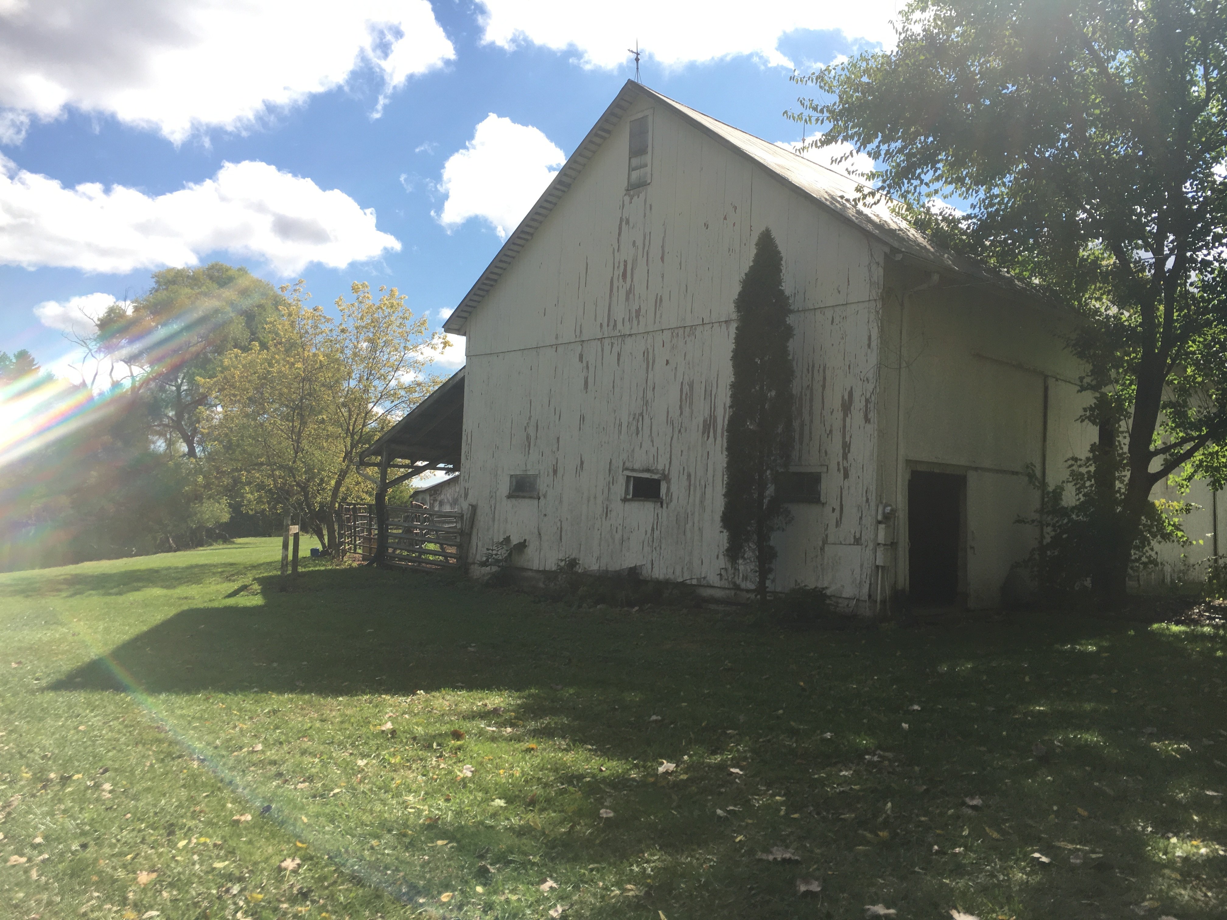 Real Estate Pictures