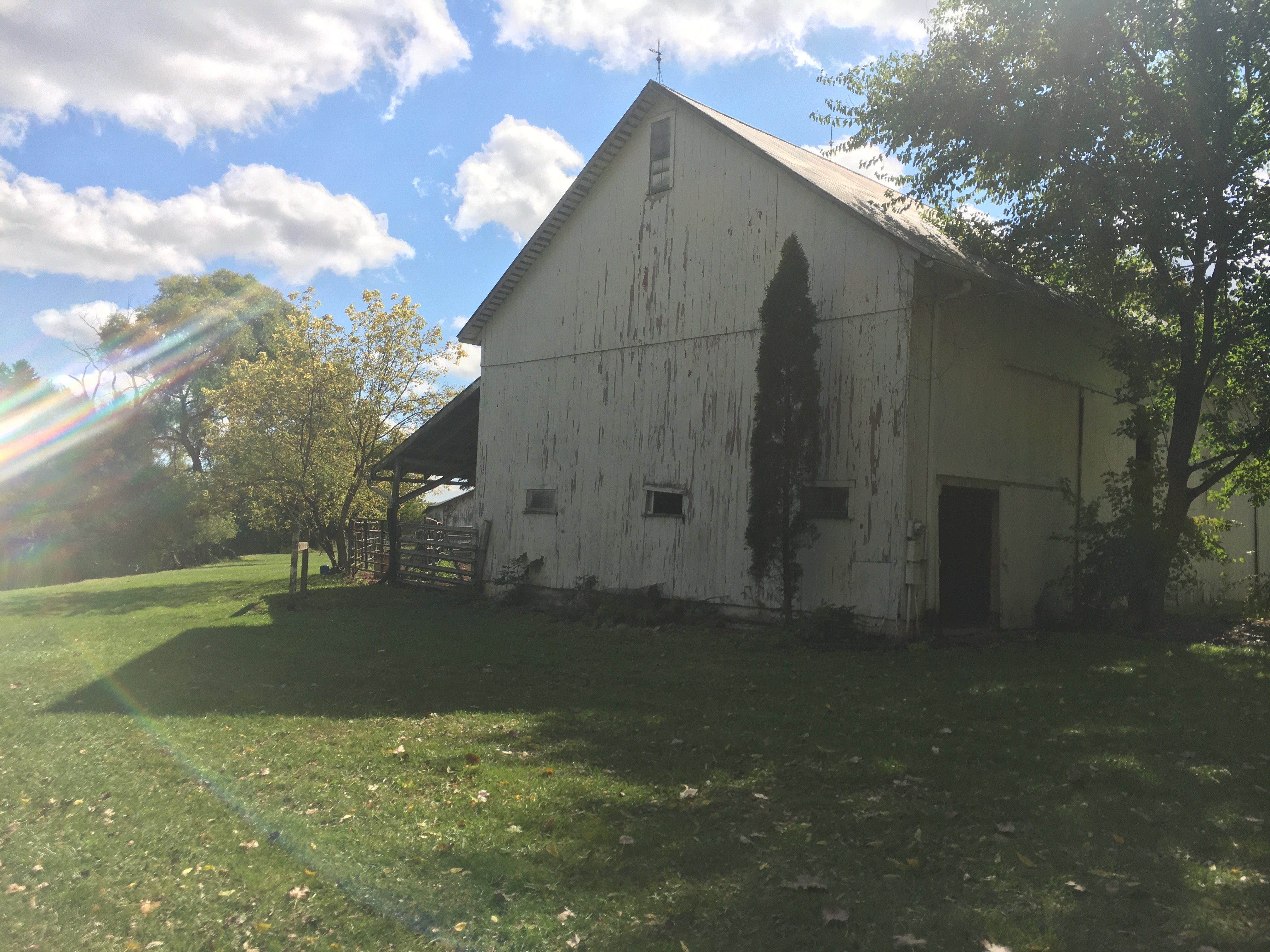 Real Estate Pictures