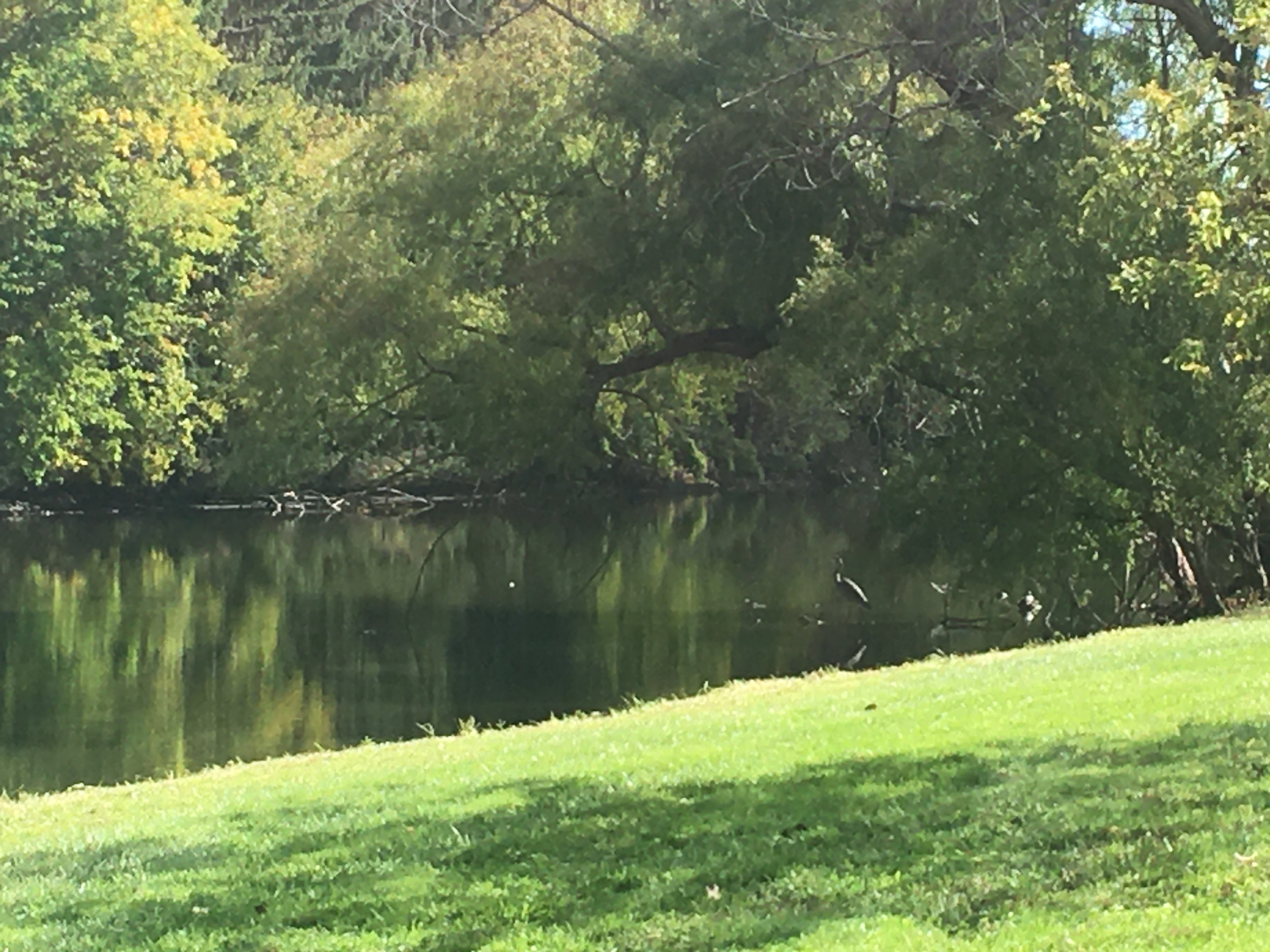 Real Estate Pictures