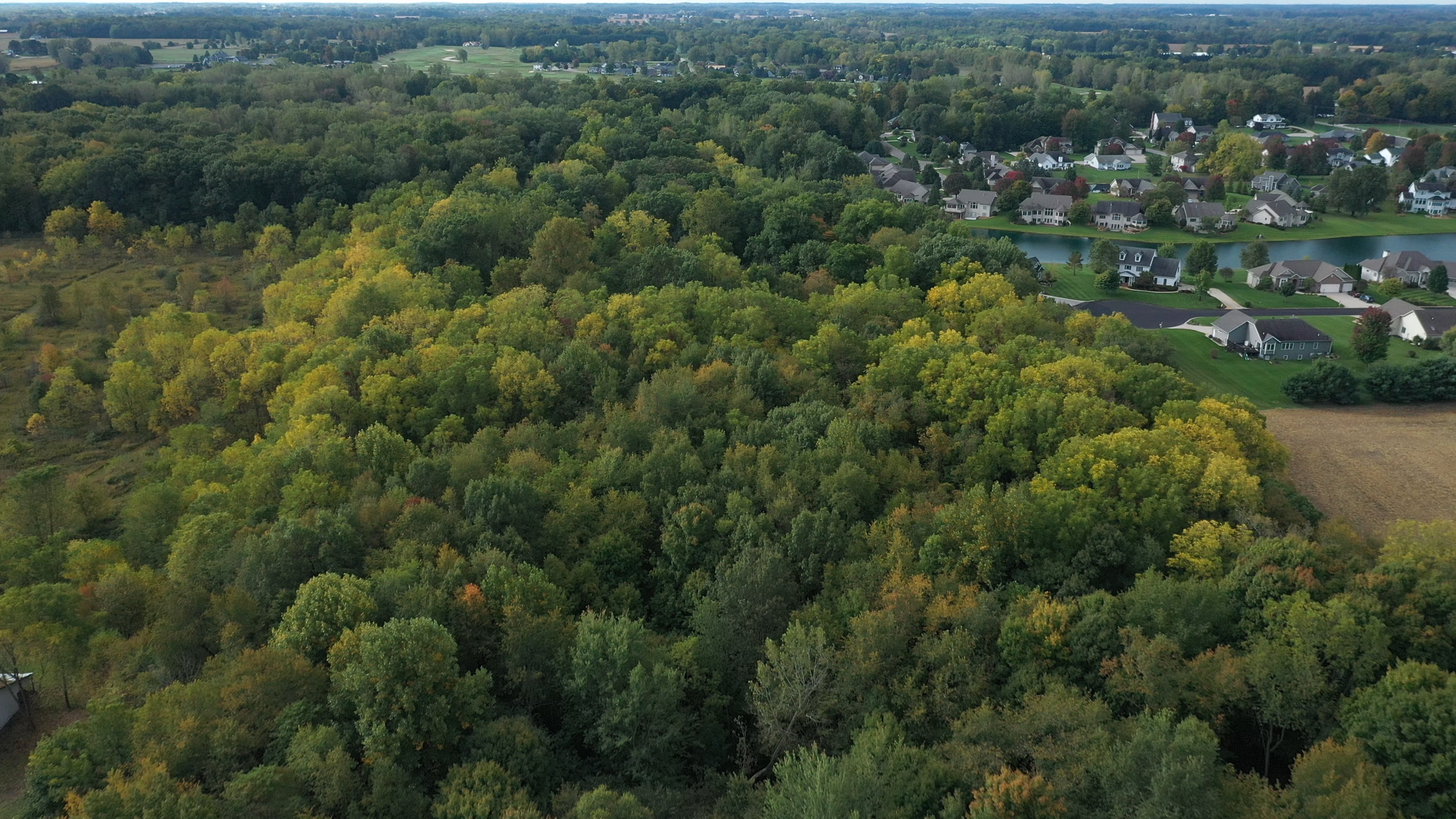 Real Estate Pictures