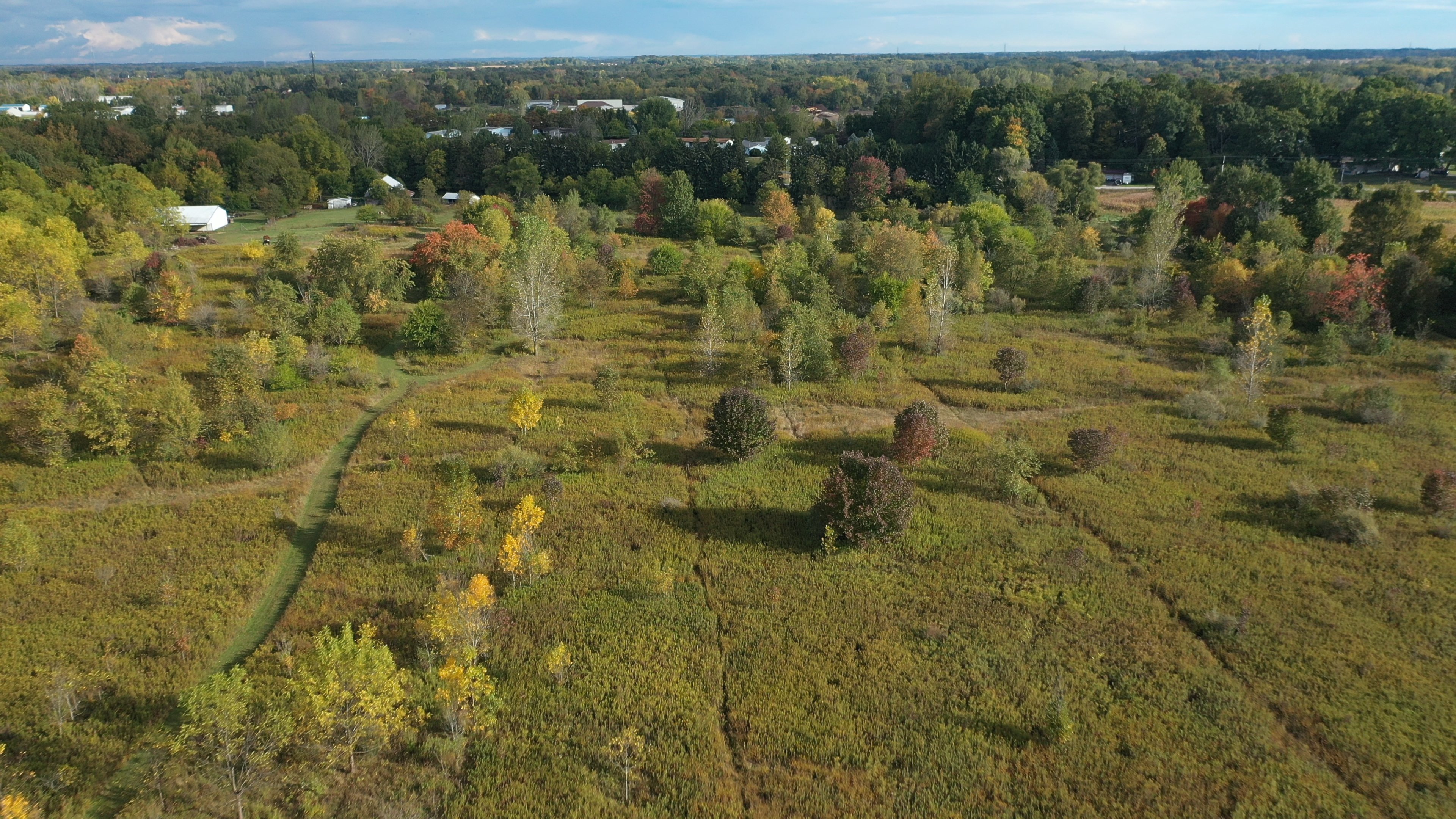 Real Estate Pictures