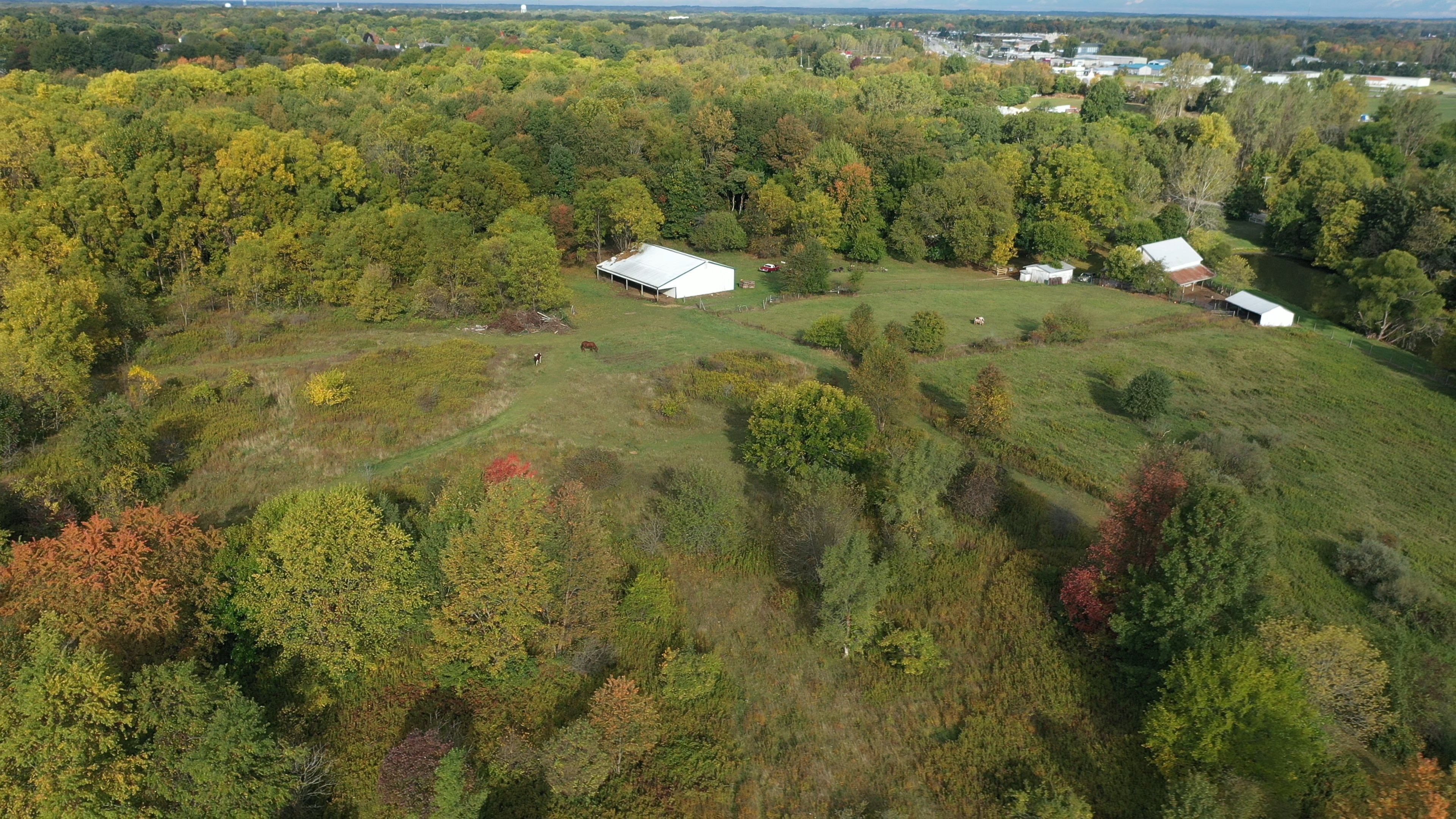 Real Estate Pictures