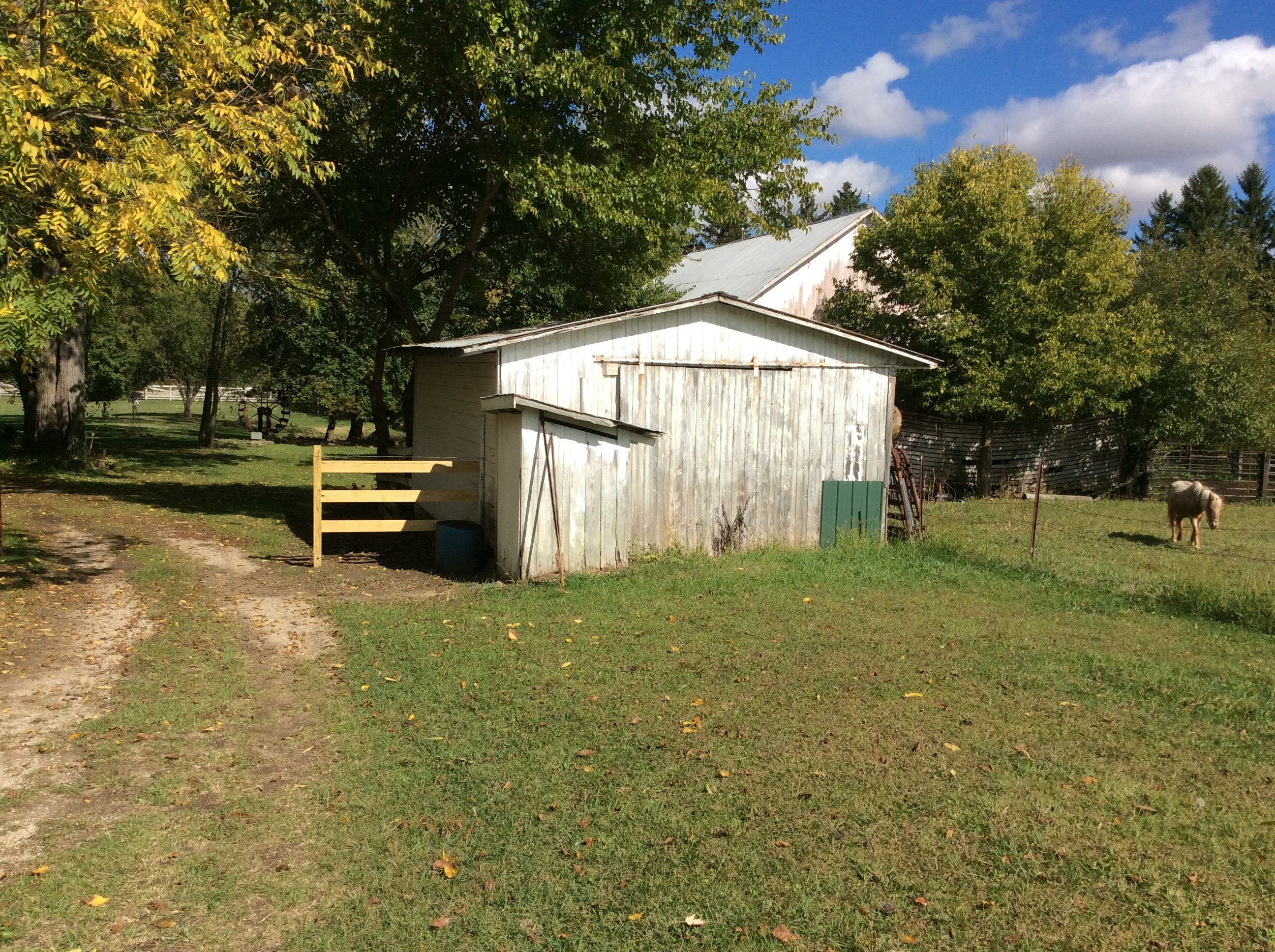 Real Estate Pictures