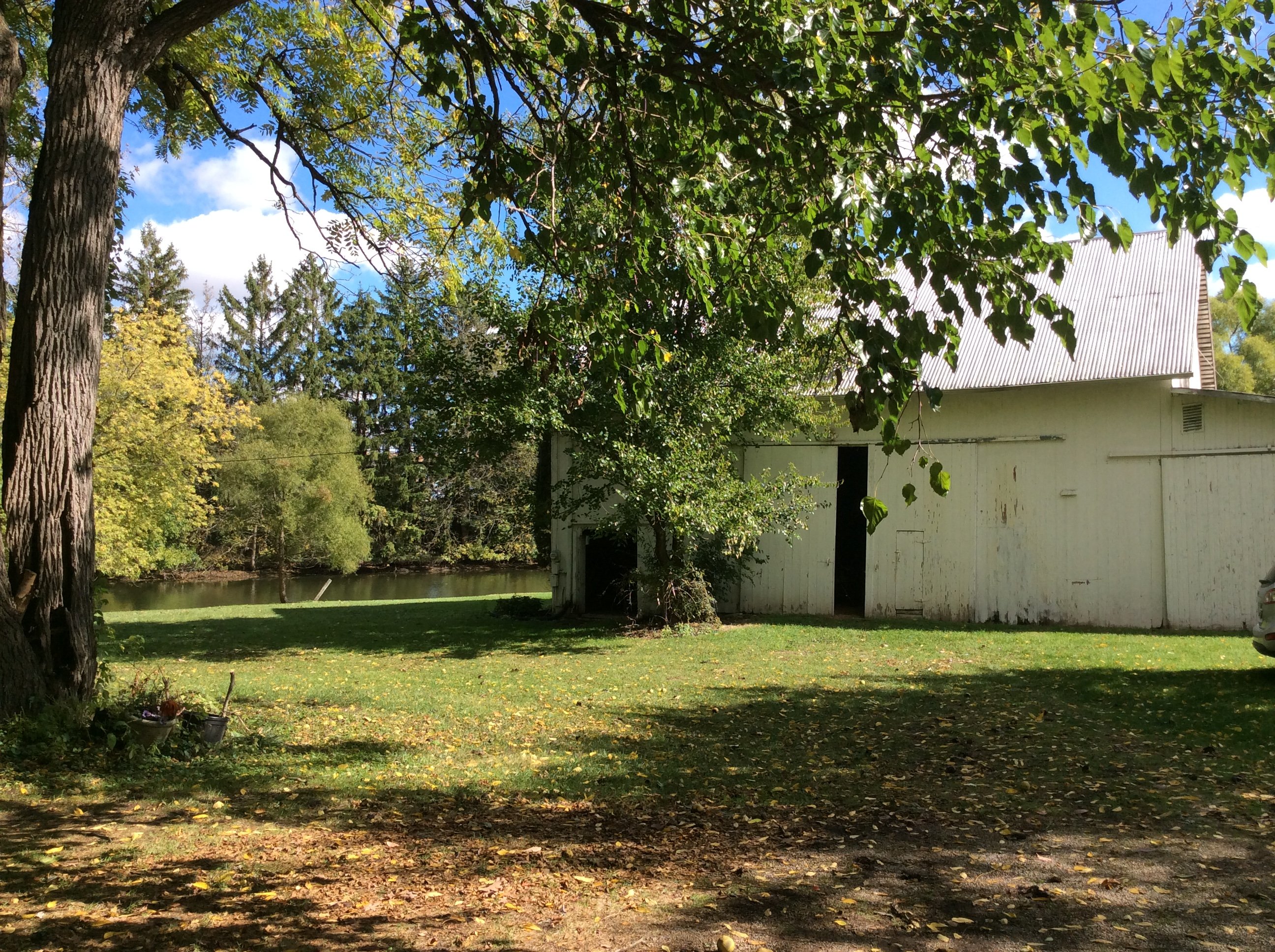 Real Estate Pictures