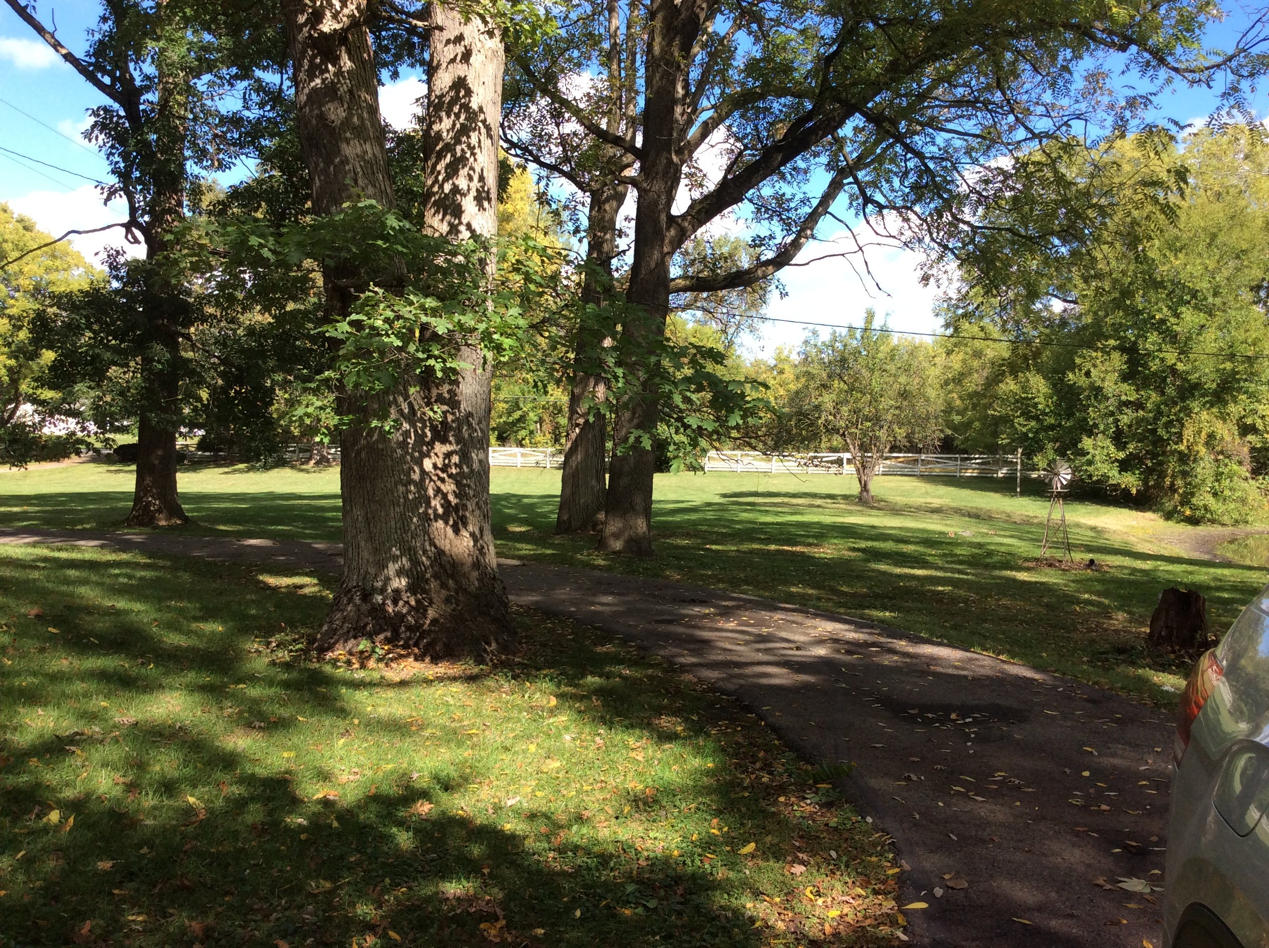 Real Estate Pictures