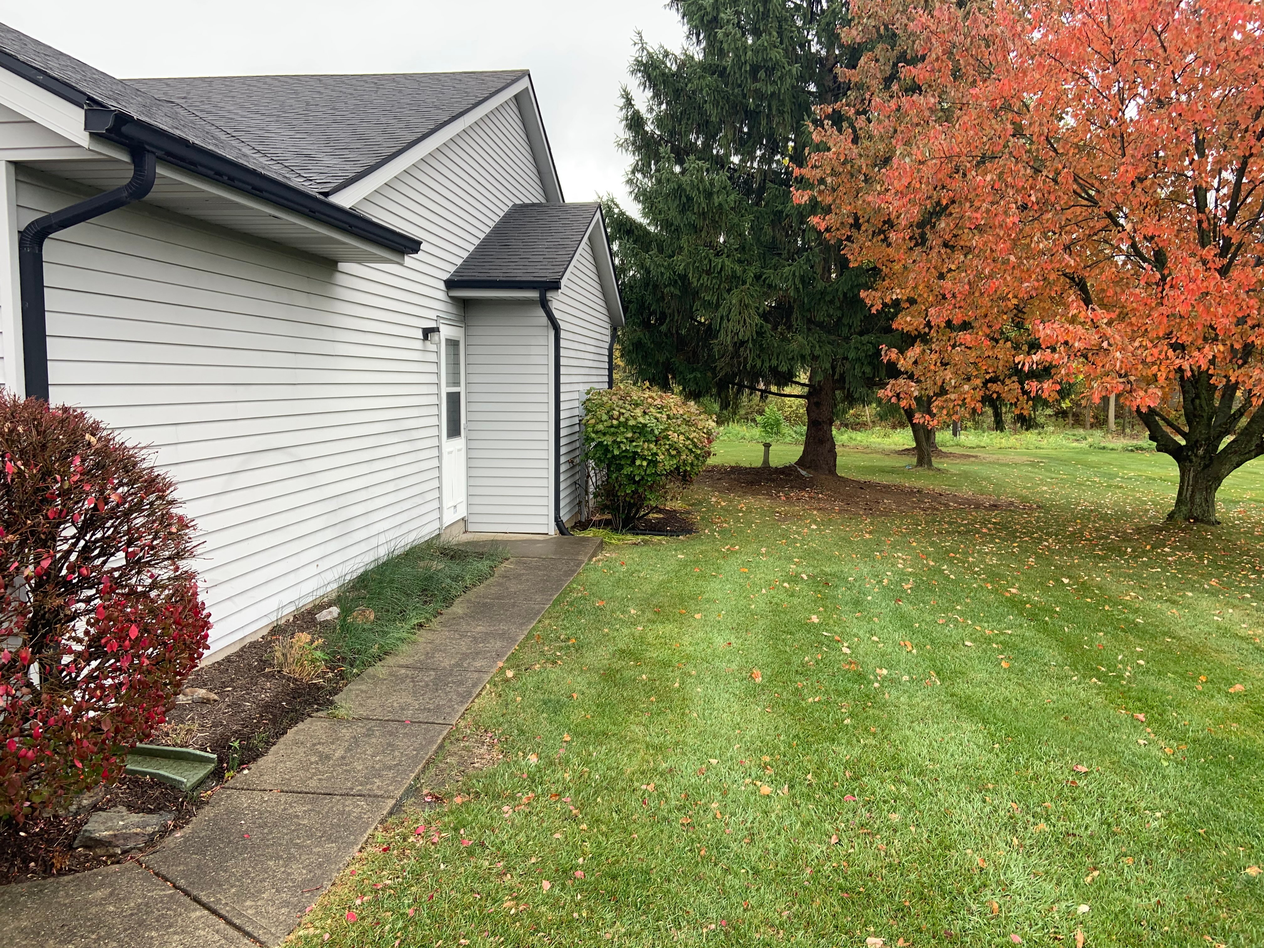 Real Estate Pictures