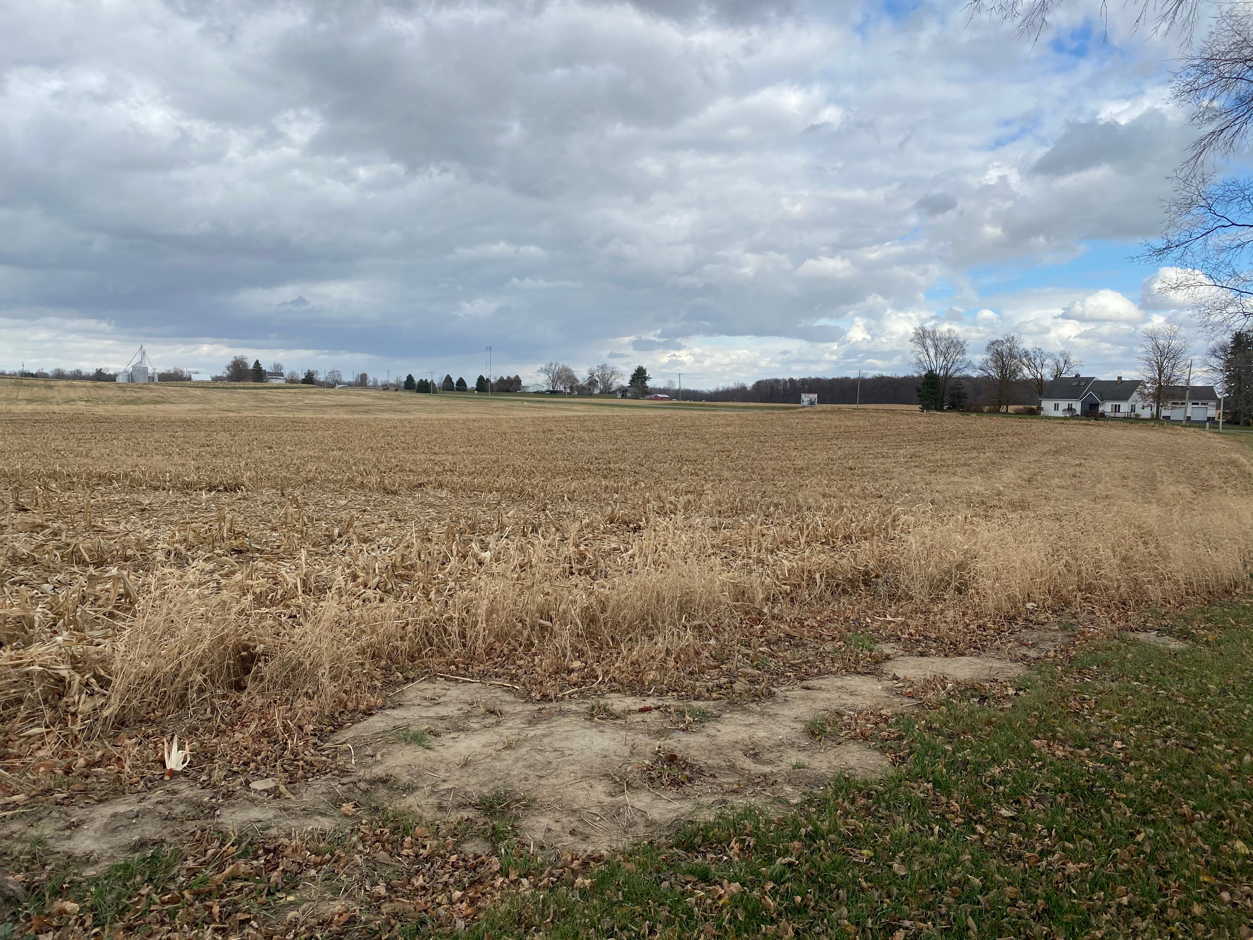 Real Estate Pictures