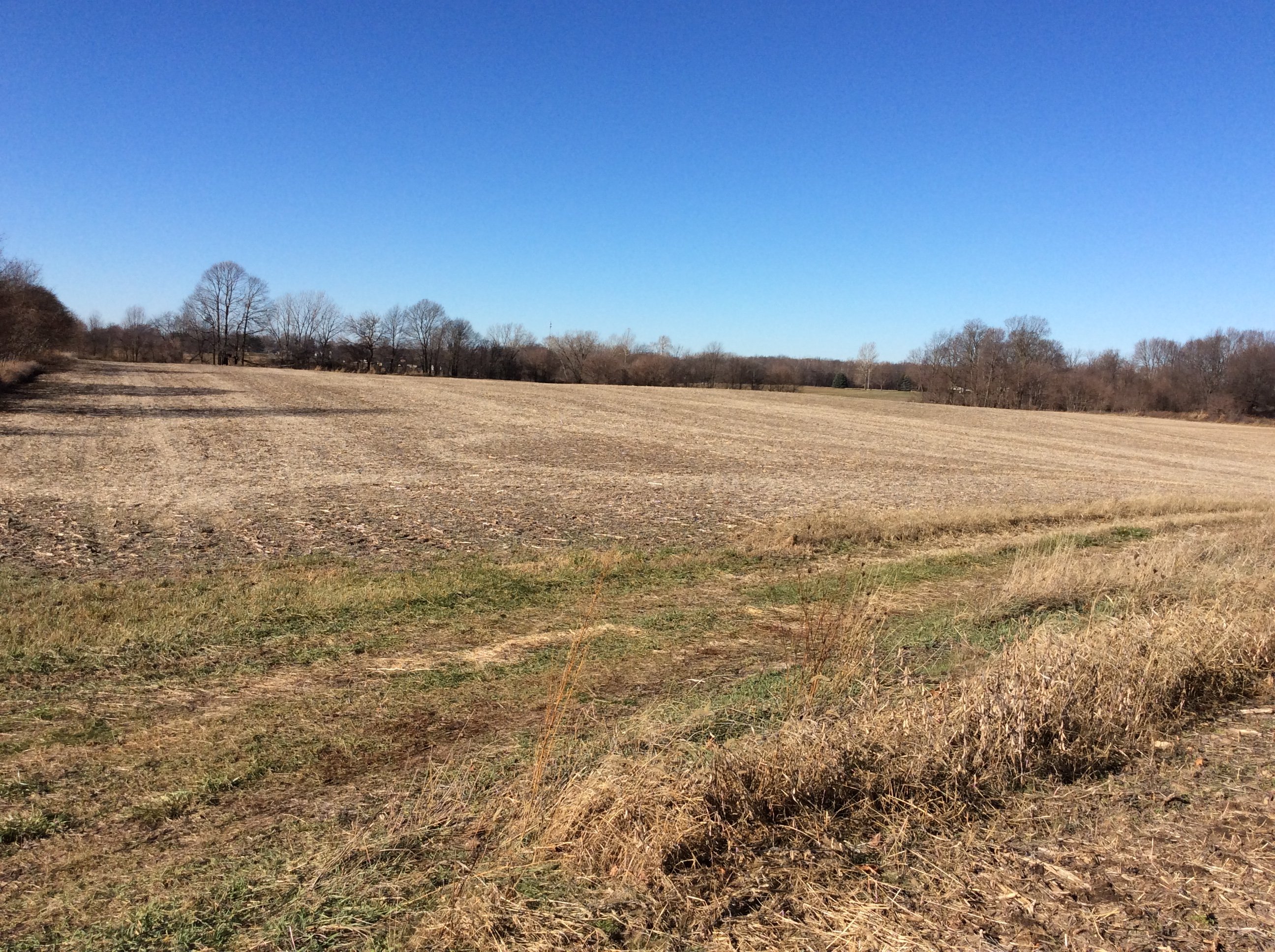 Real Estate Pictures