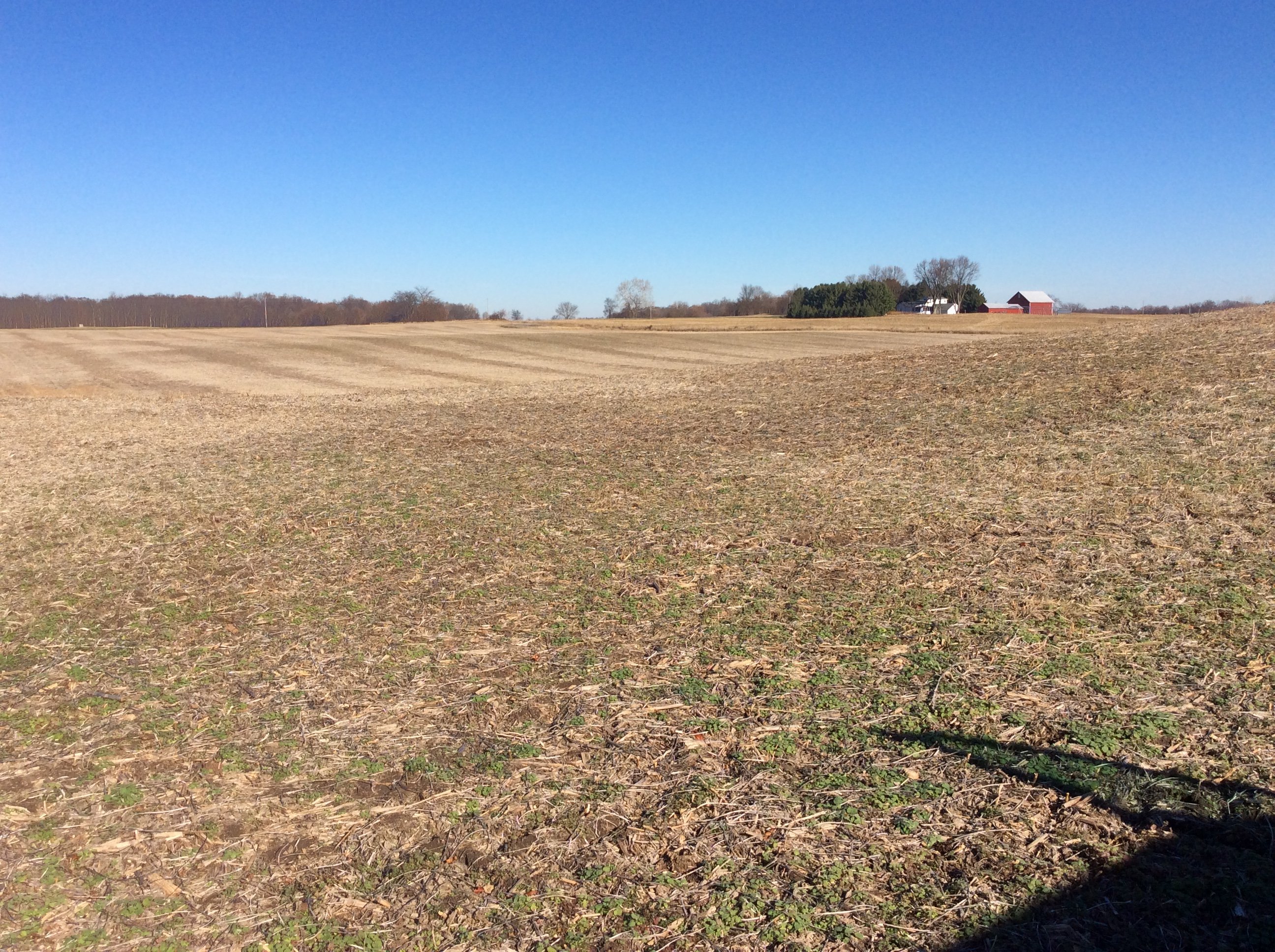 Real Estate Pictures