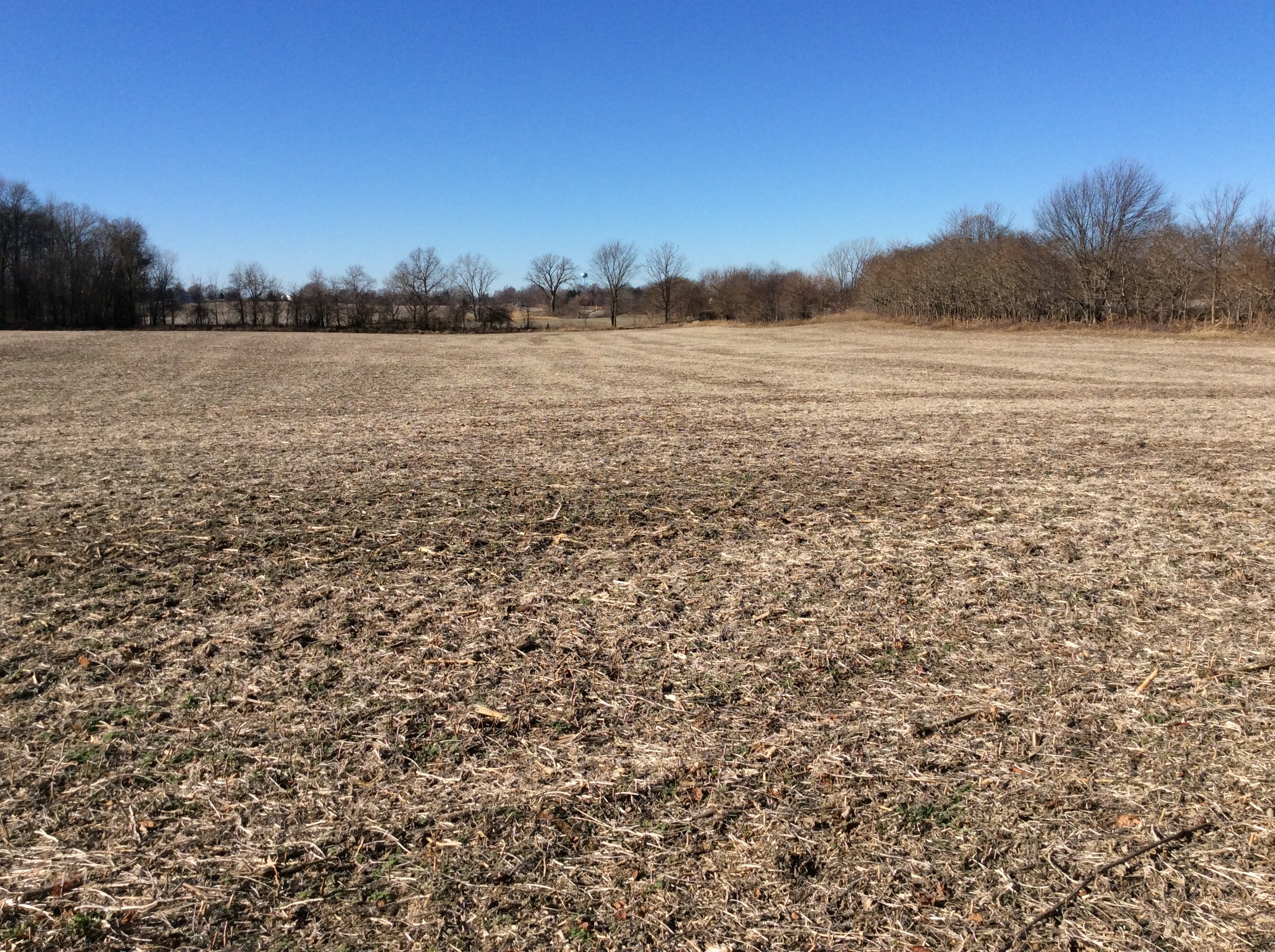 Real Estate Pictures